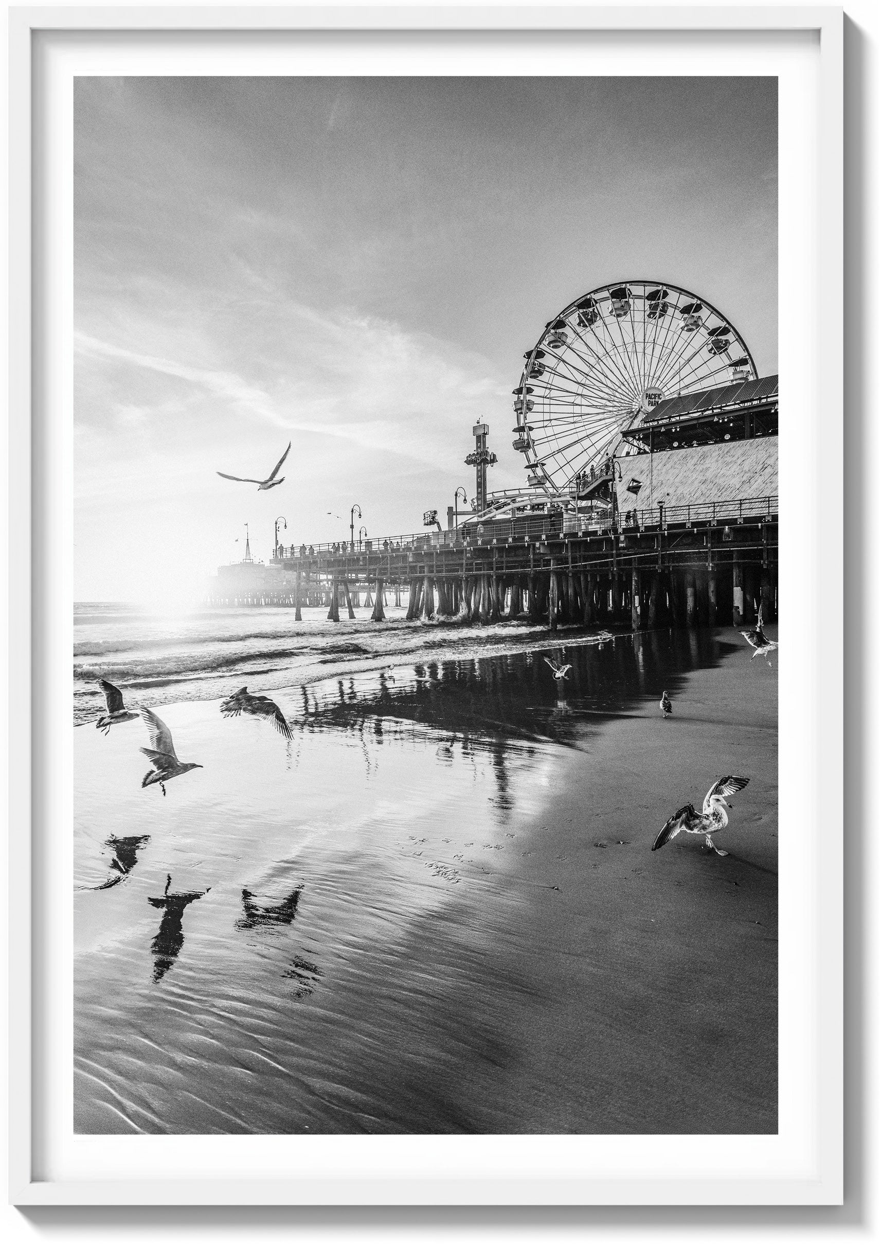 Santa Monica Serenity