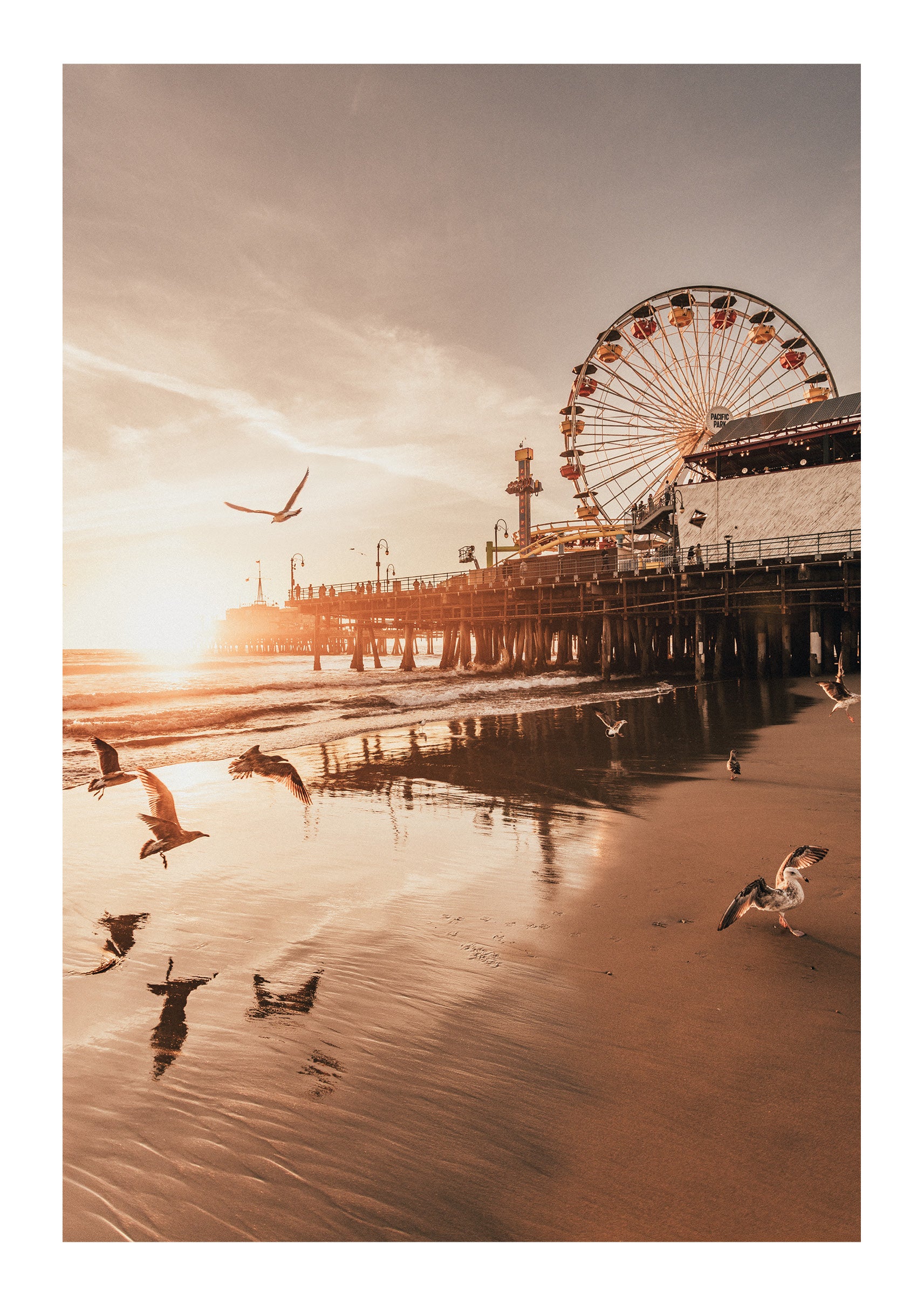 Santa Monica Serenity