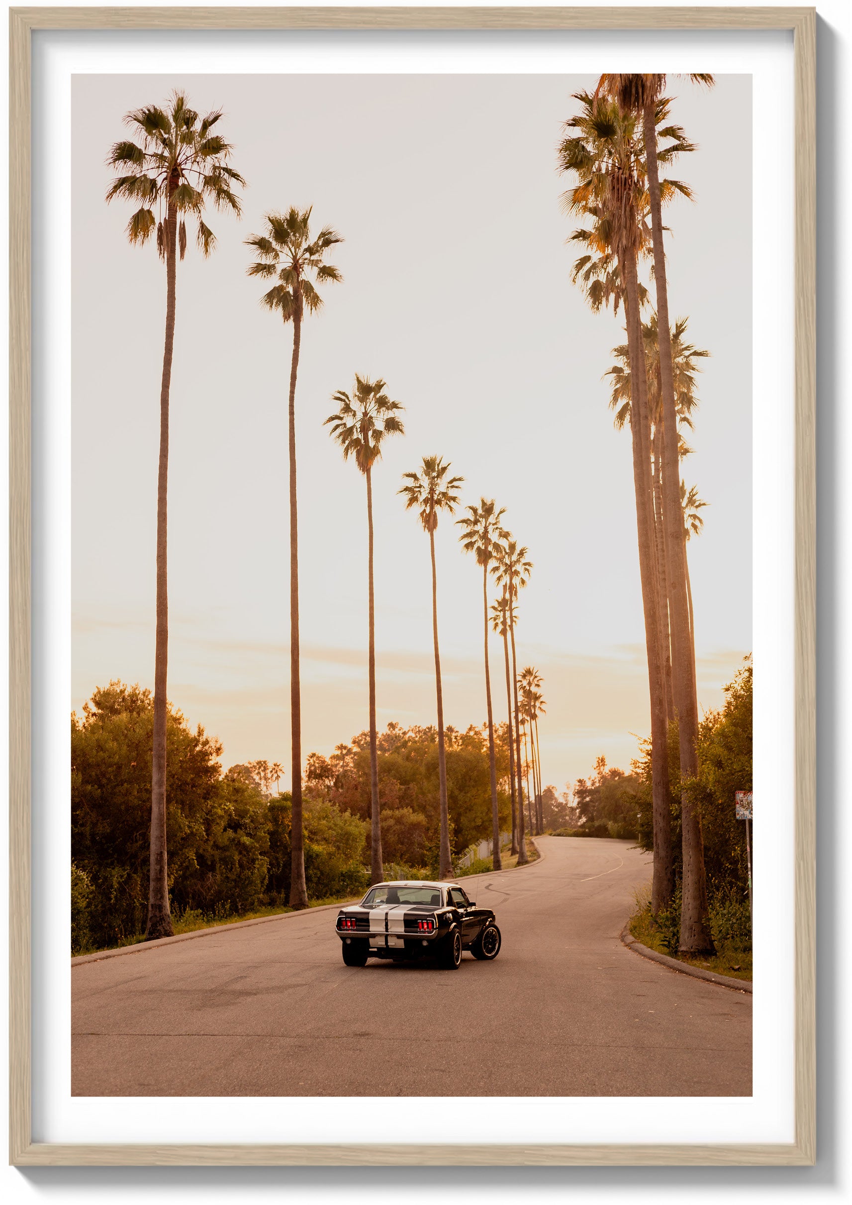 City of Angels
