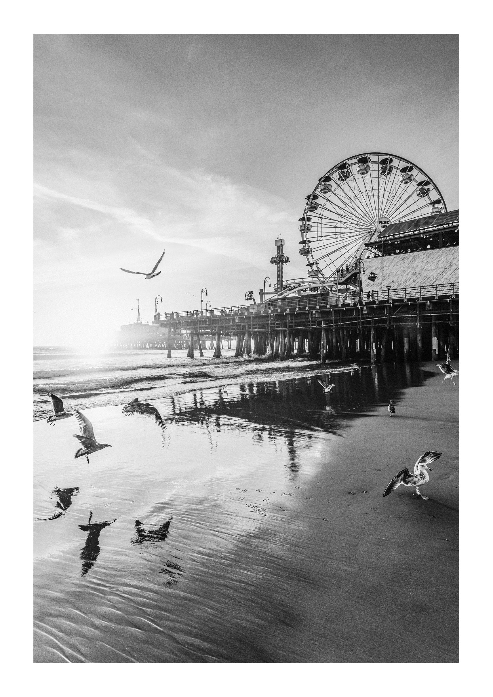 Santa Monica Serenity