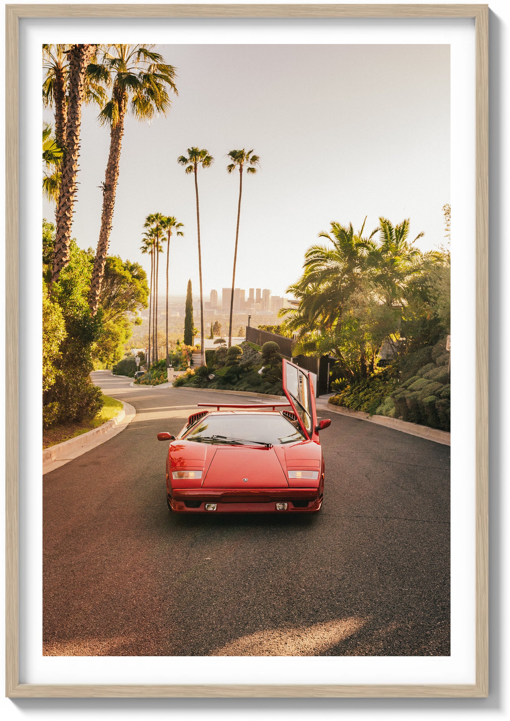 Hollywood Horizon