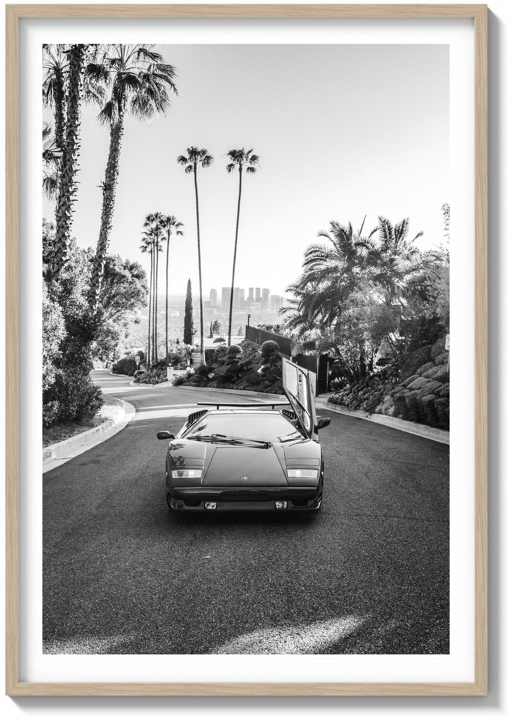 Hollywood Horizon
