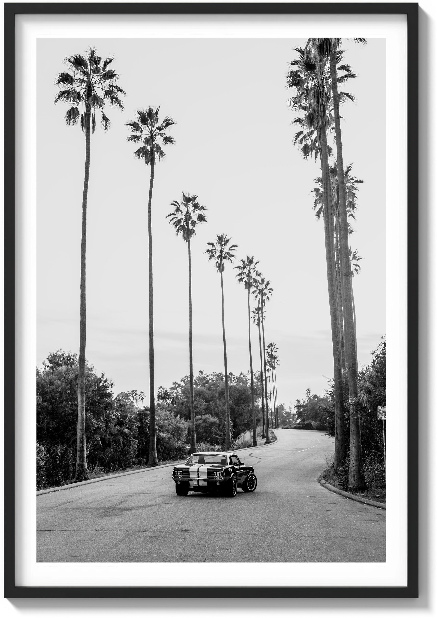 City of Angels