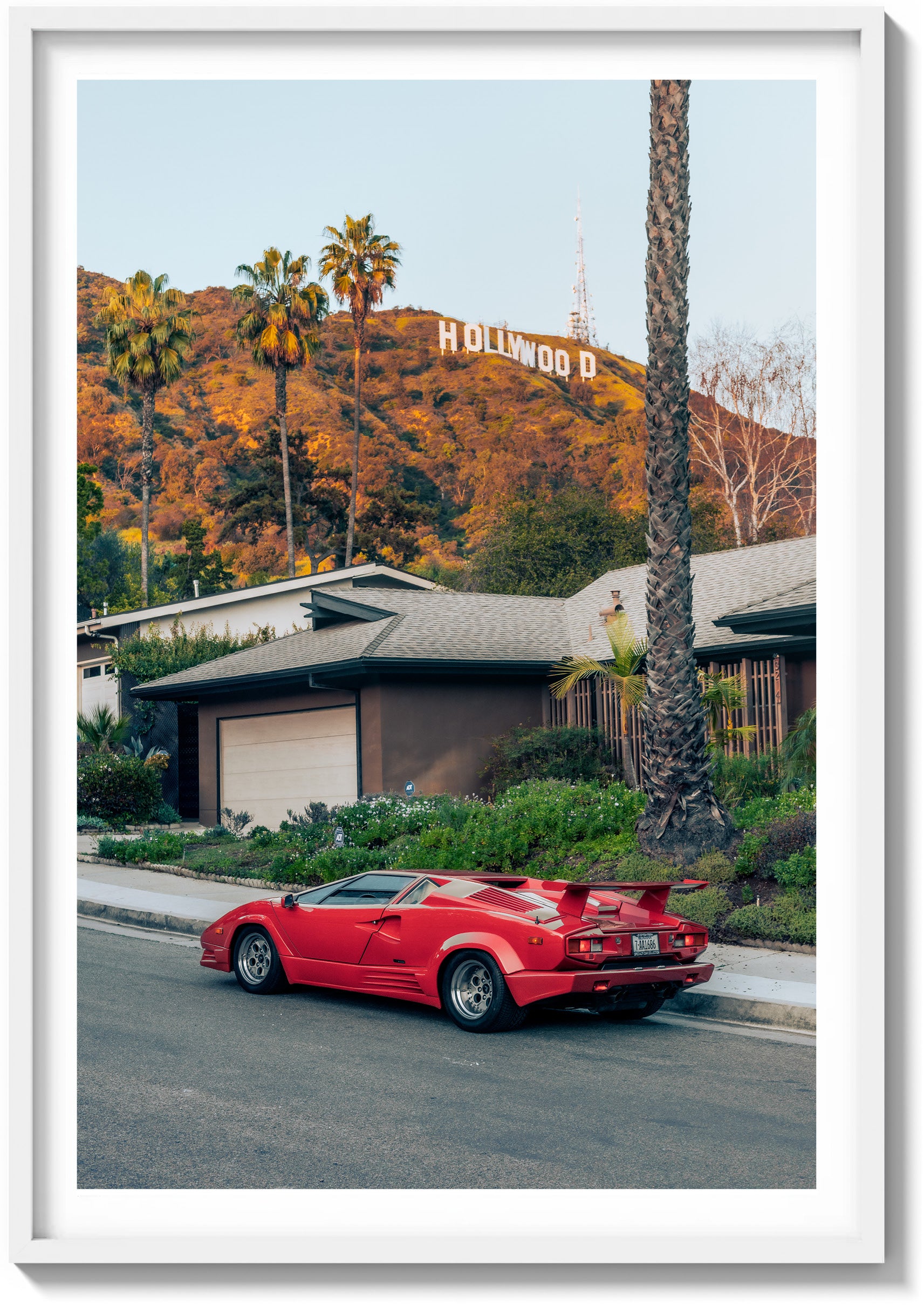 Hollywood Icon