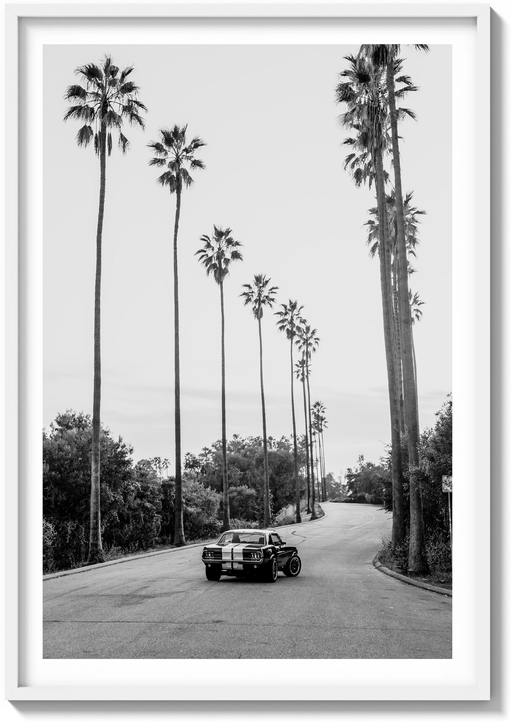 City of Angels