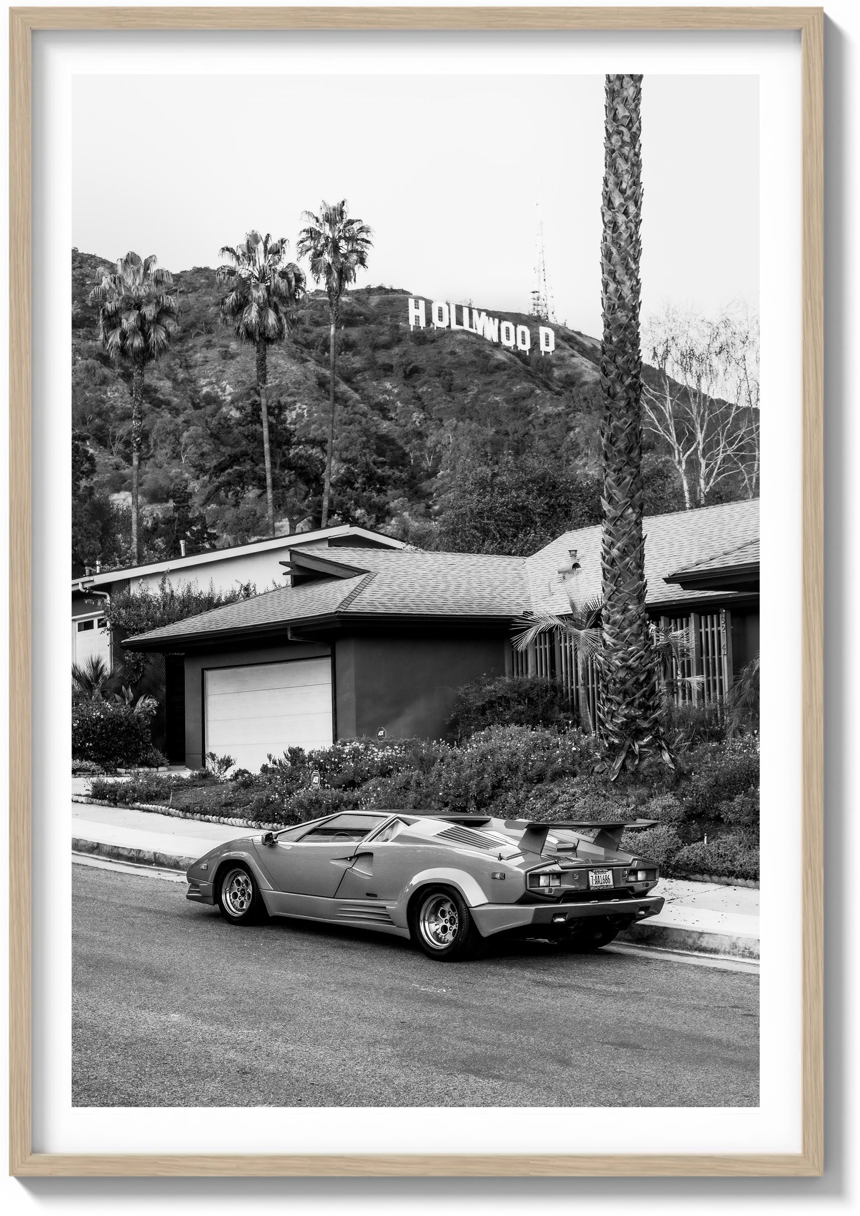 Hollywood Icon