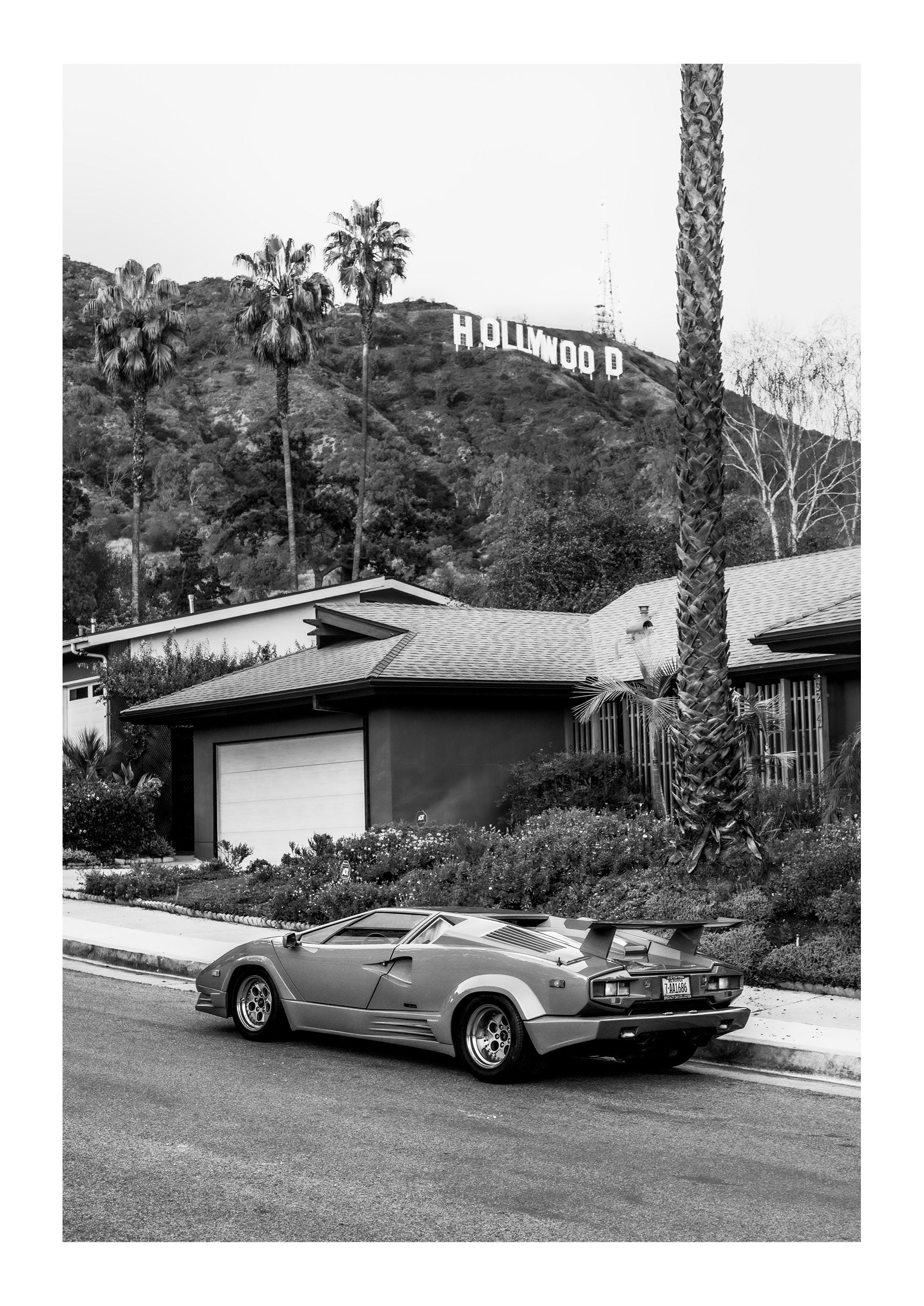 Hollywood Icon
