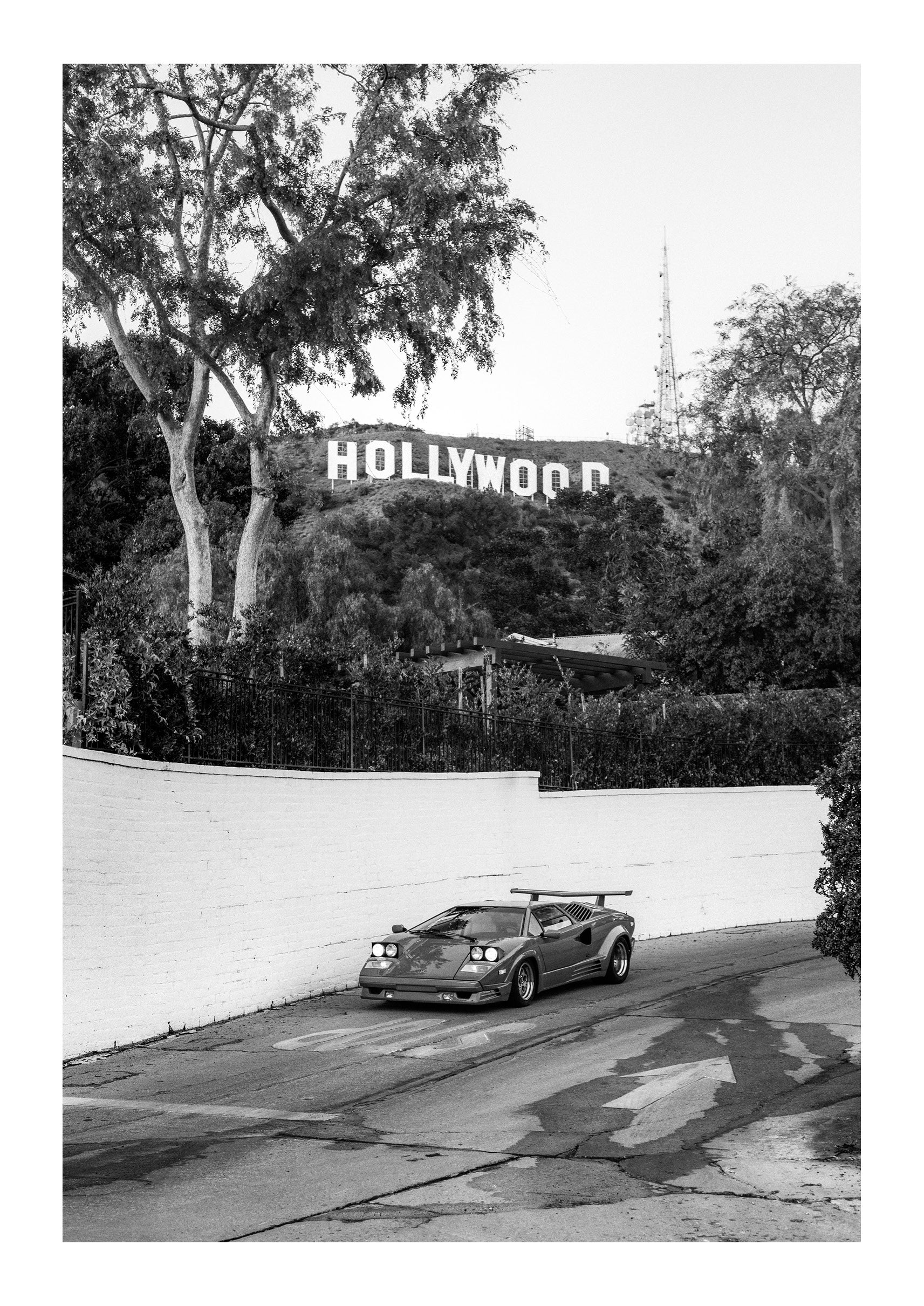 Hollywood Mogul