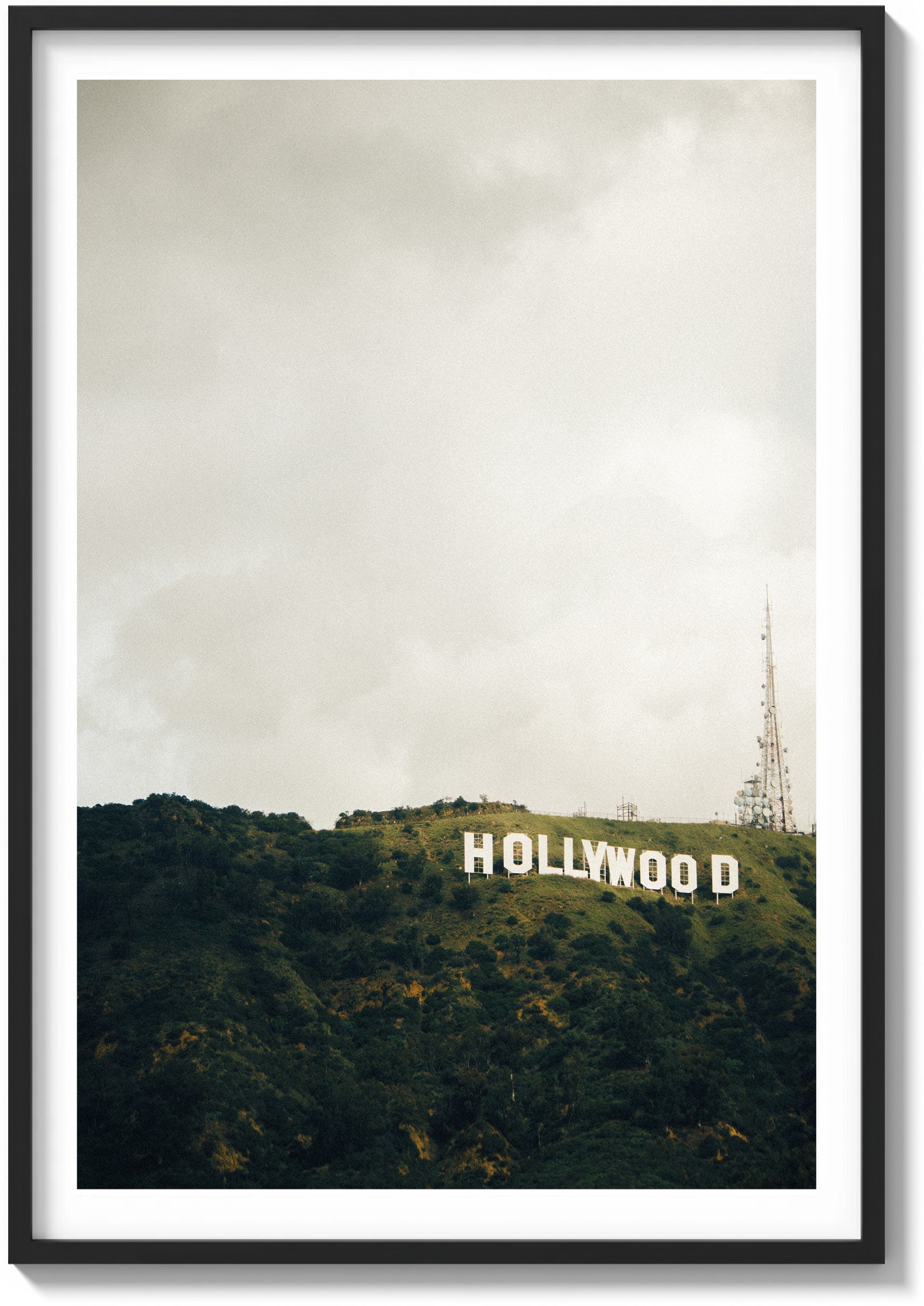 Movie Empire