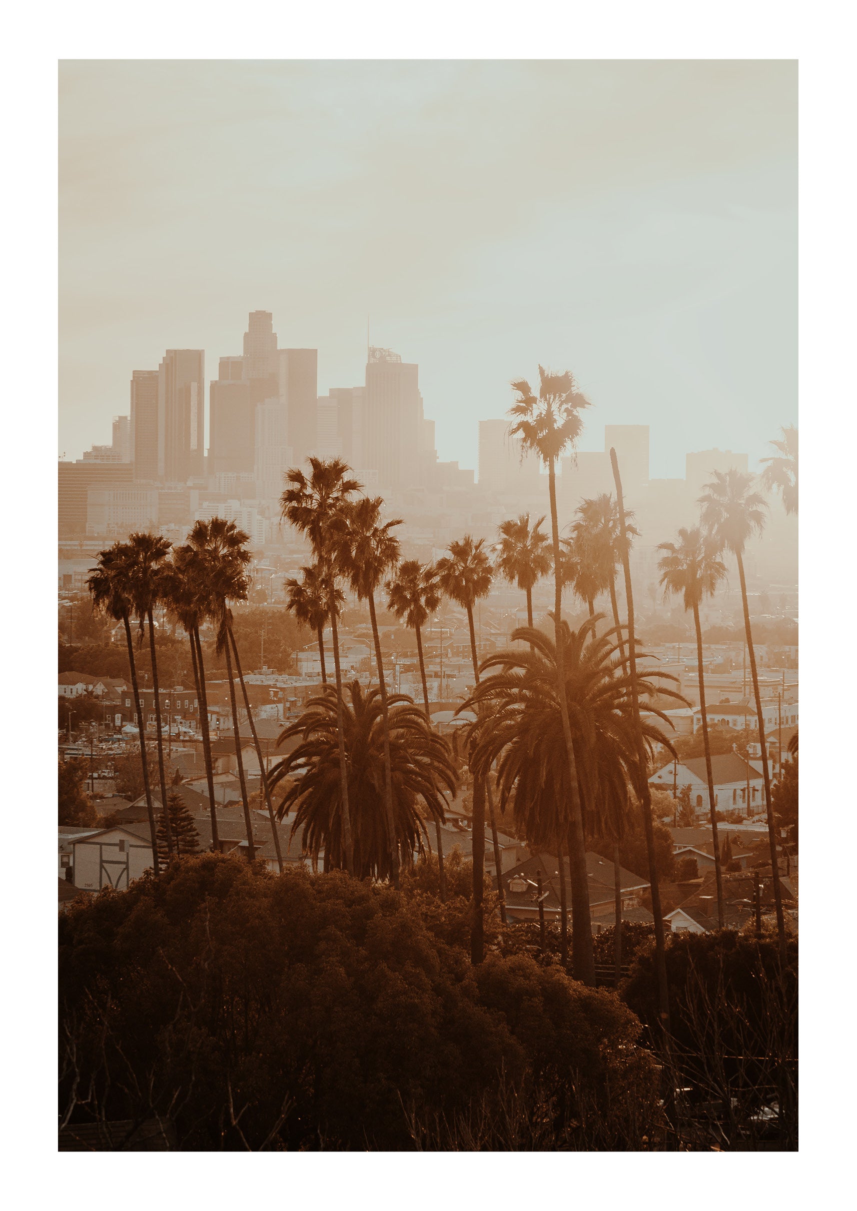 LA Haze
