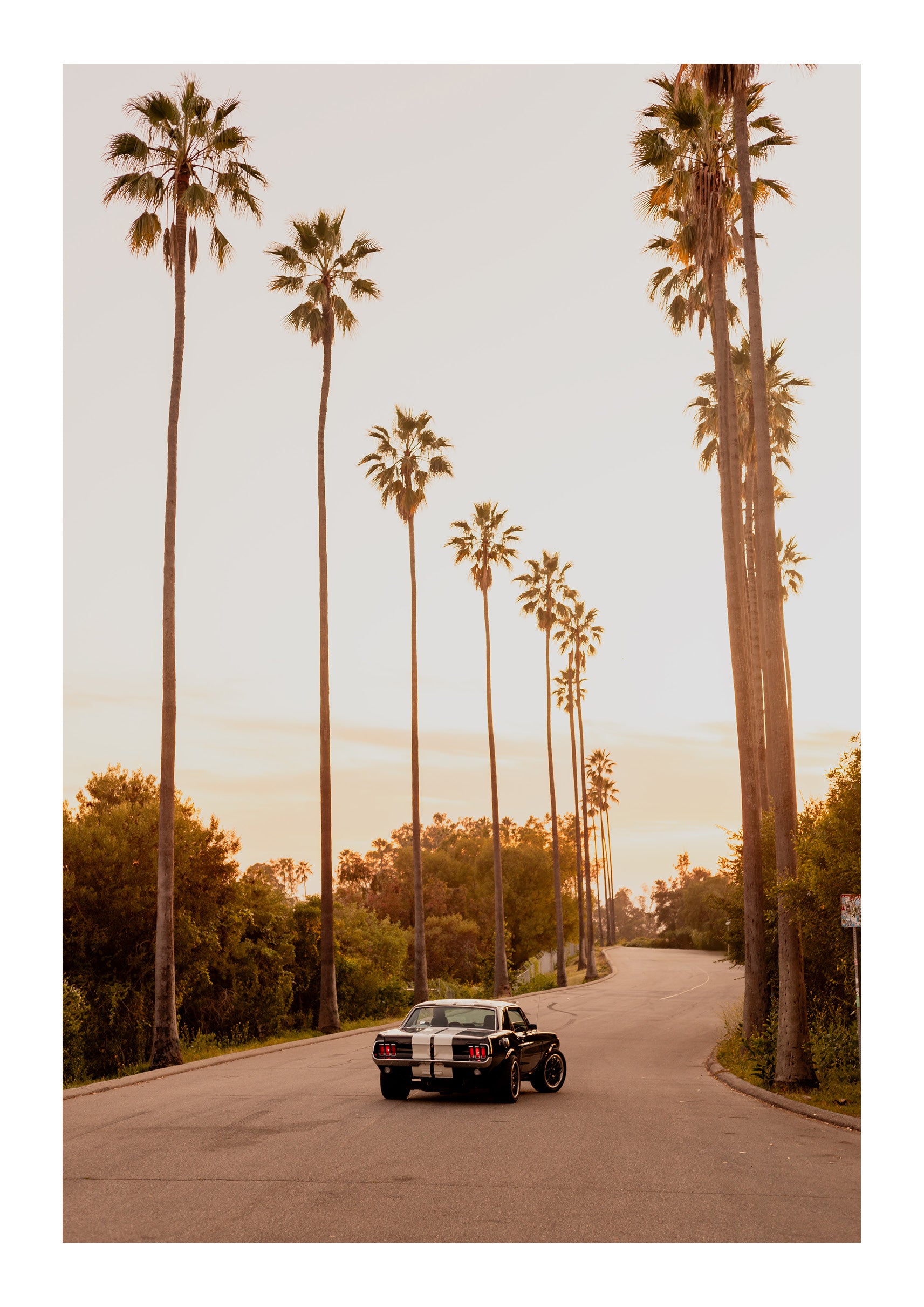 City of Angels