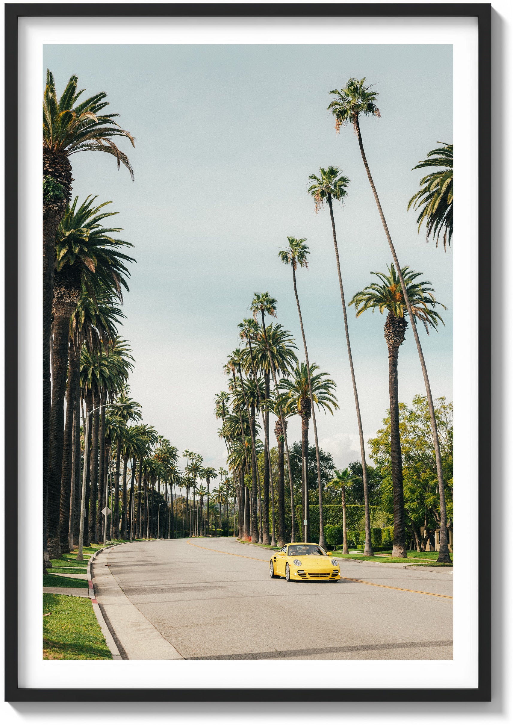 Between the Palms