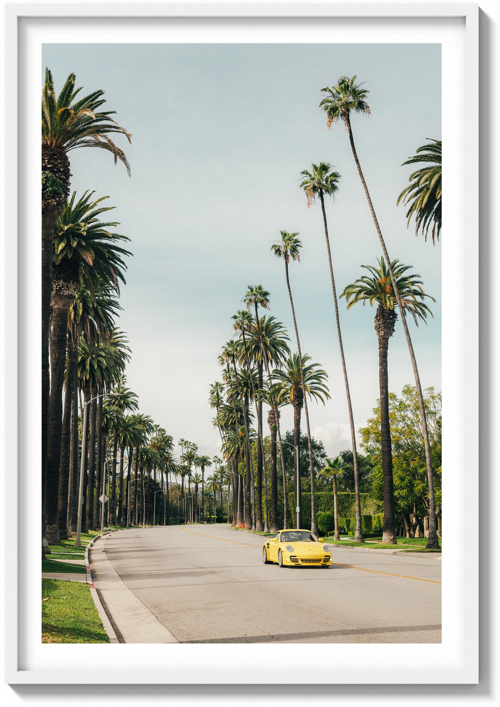Between the Palms