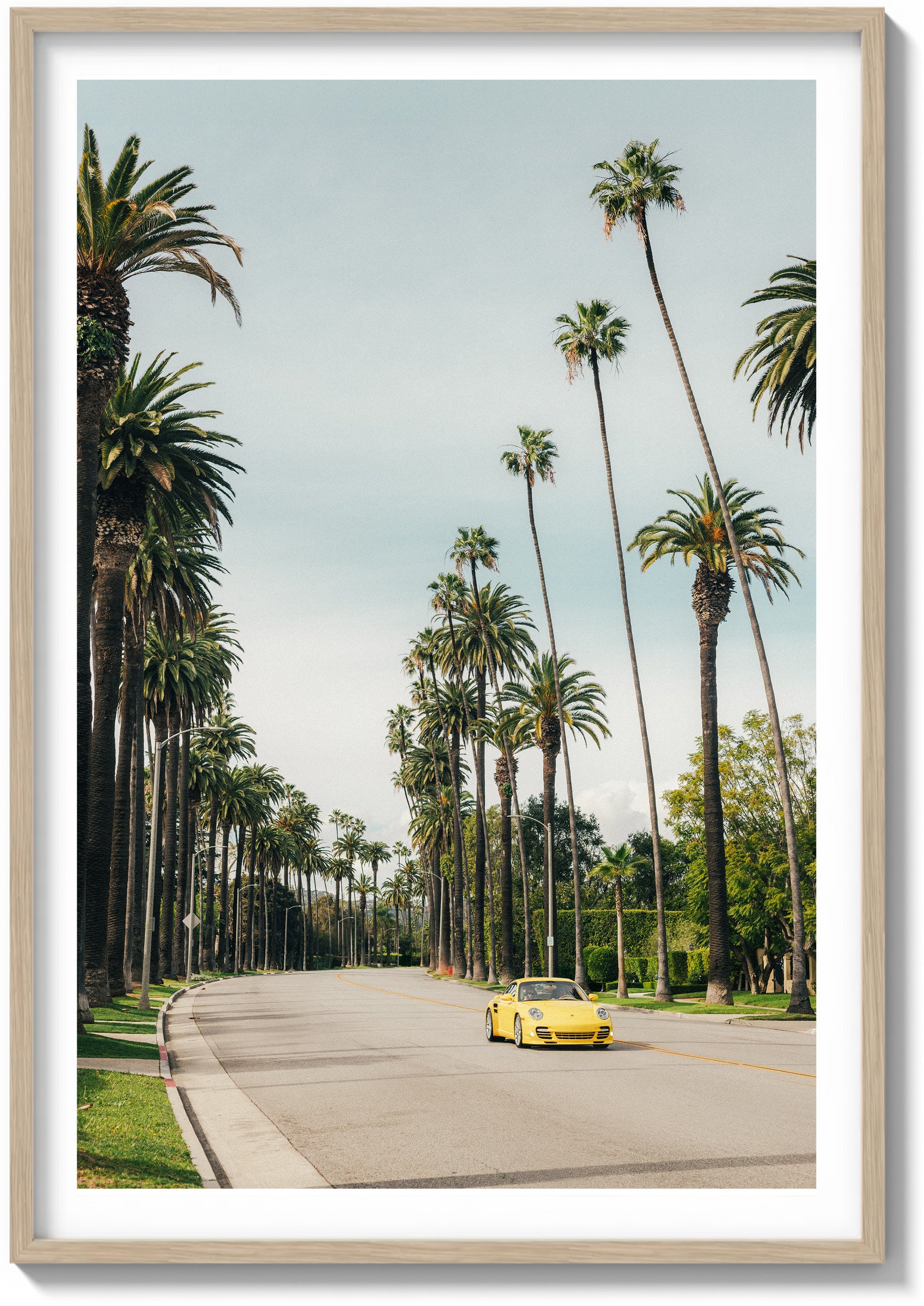 Between the Palms