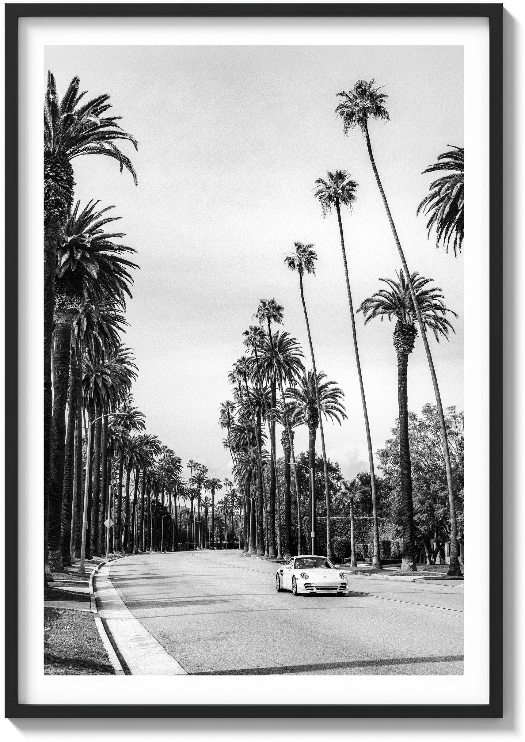 Between the Palms