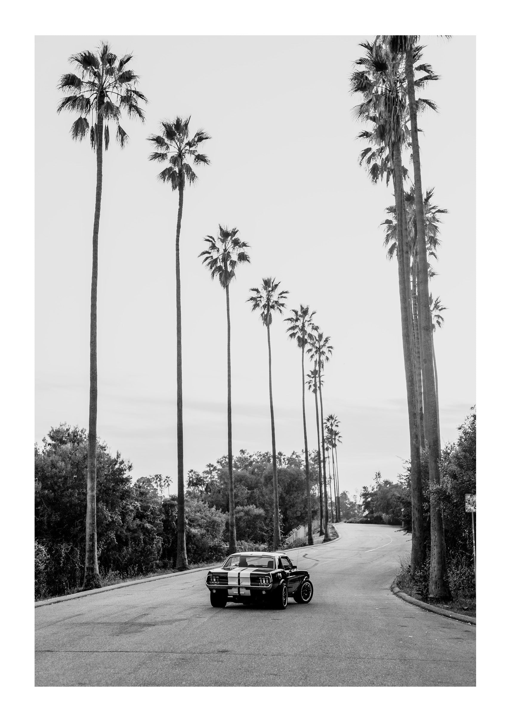 City of Angels
