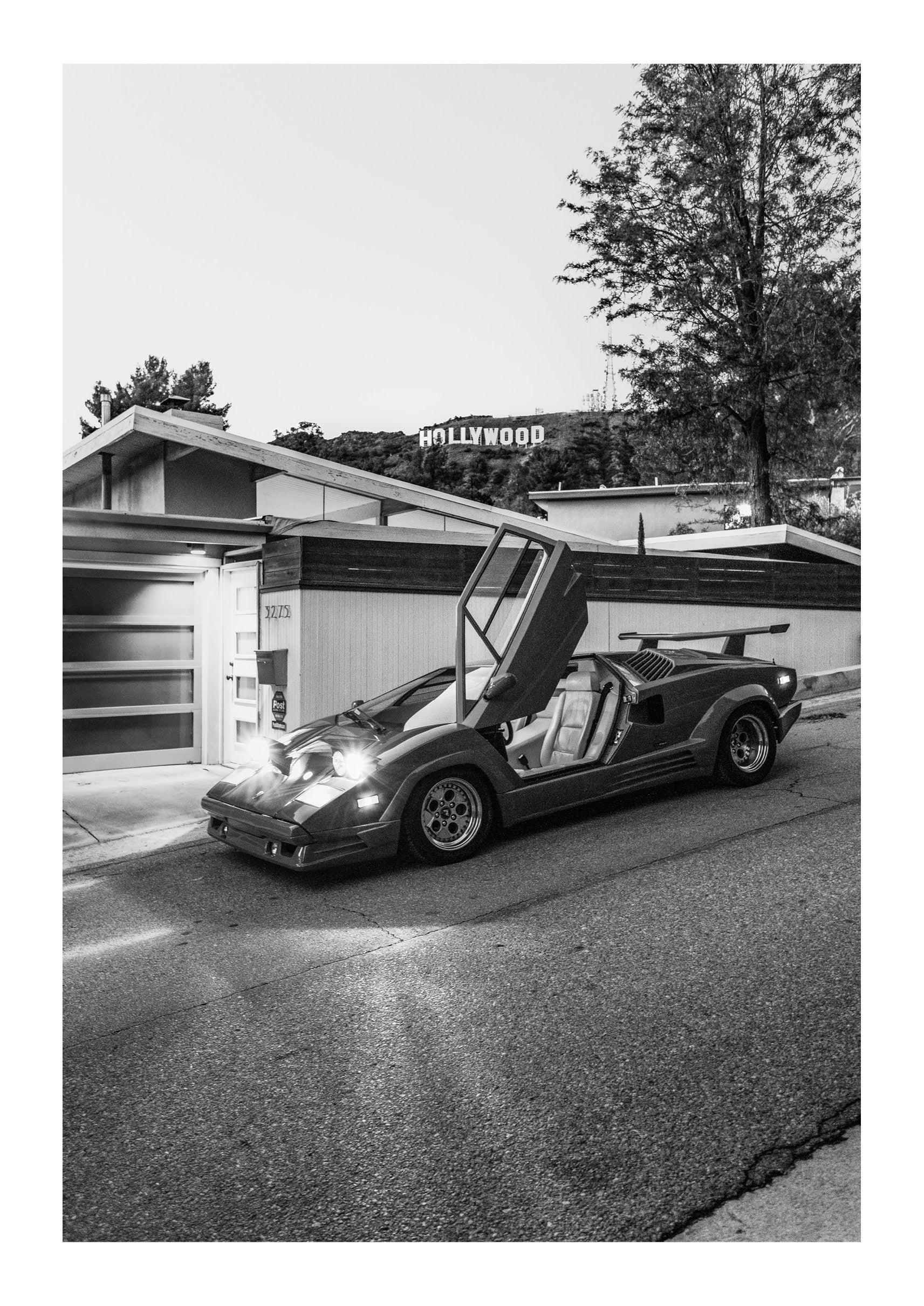 Evening Drive