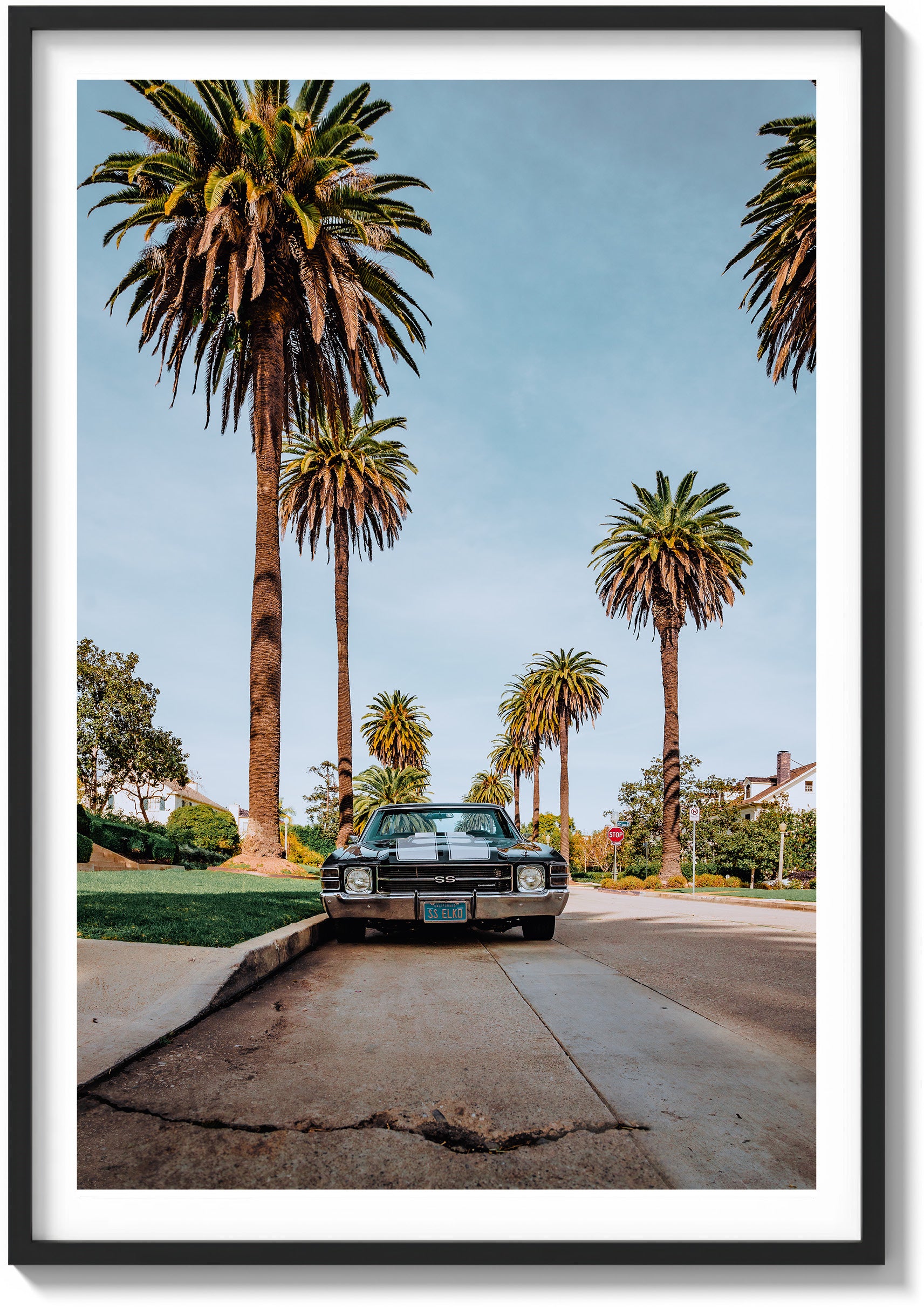 El Camino