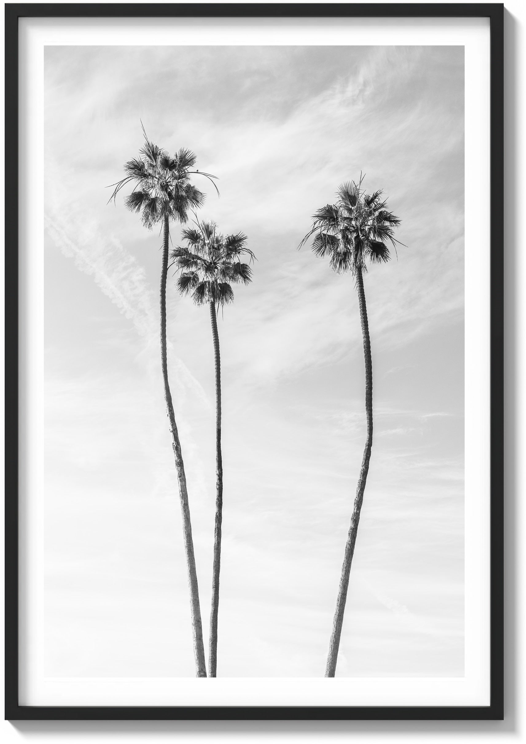 Icon of LA