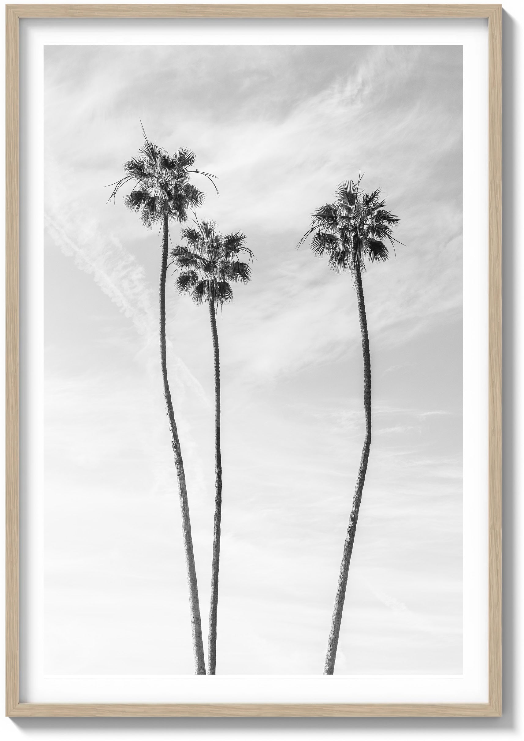 Icon of LA
