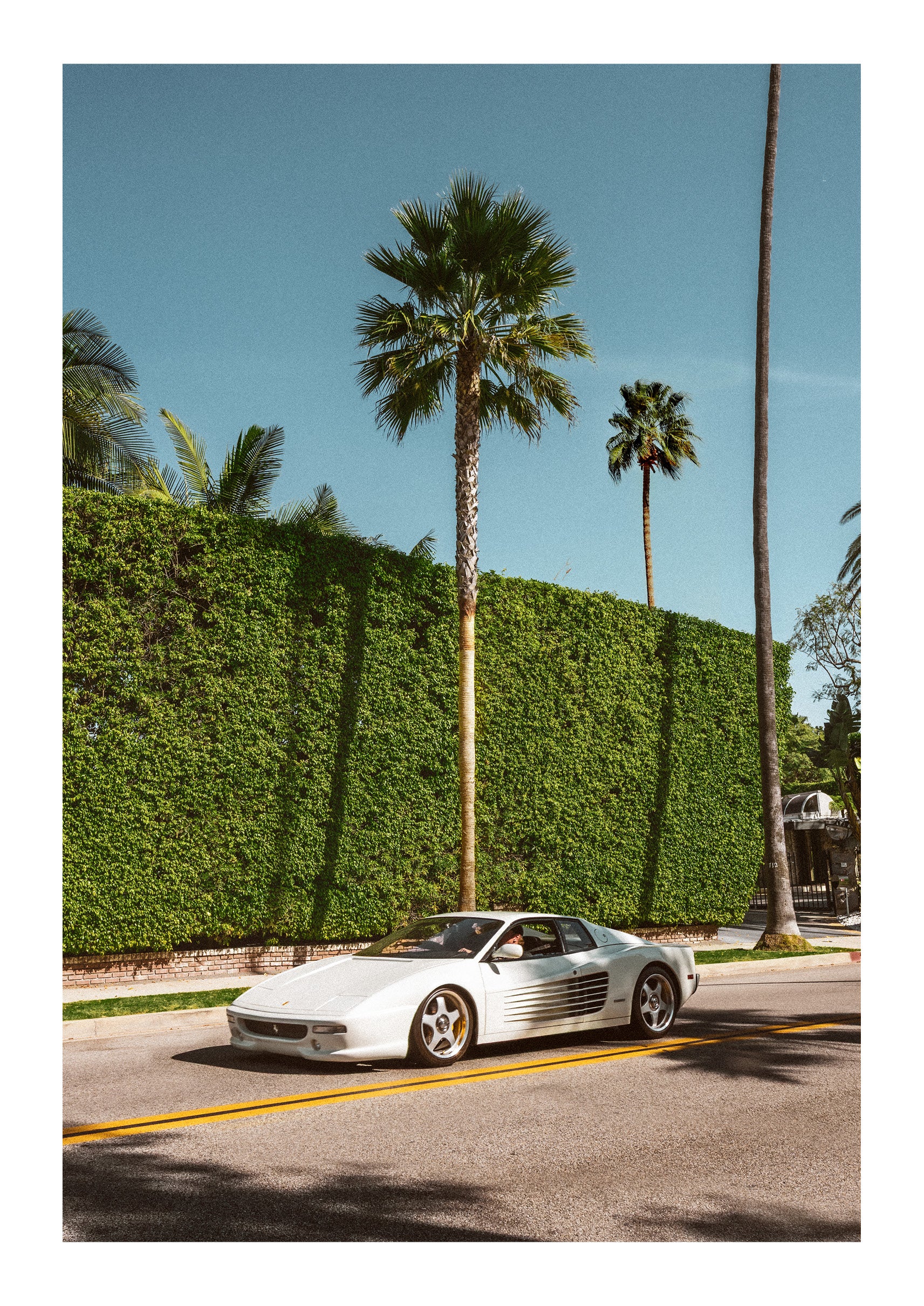 LA Vice