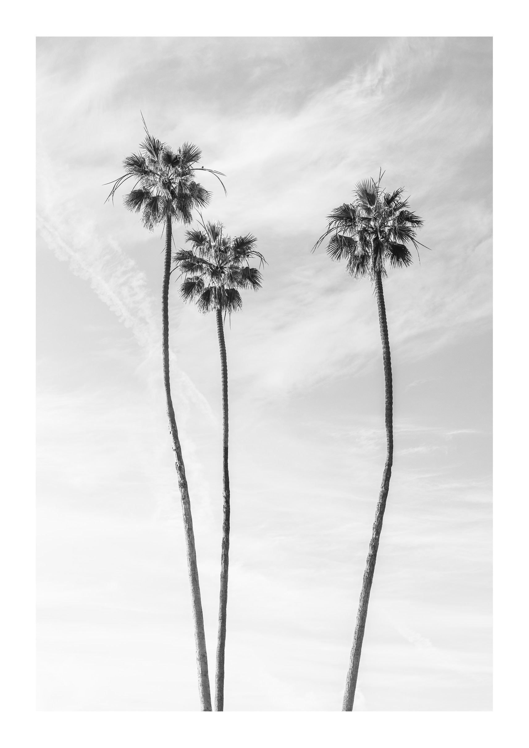 Icon of LA