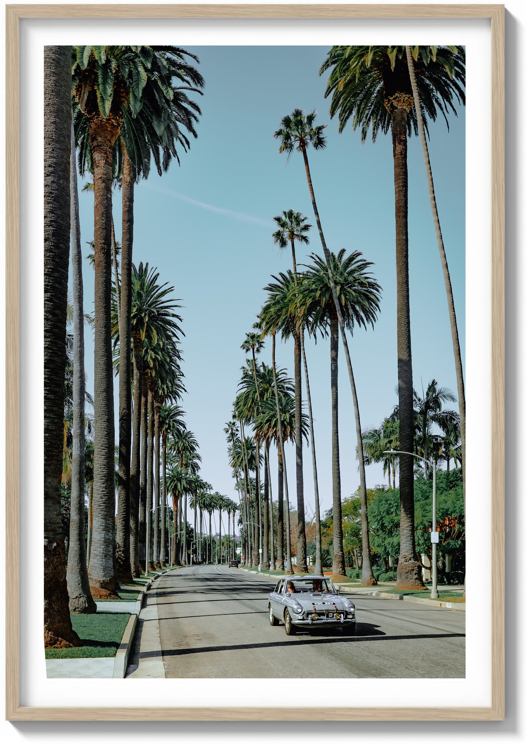 Riding the Palms