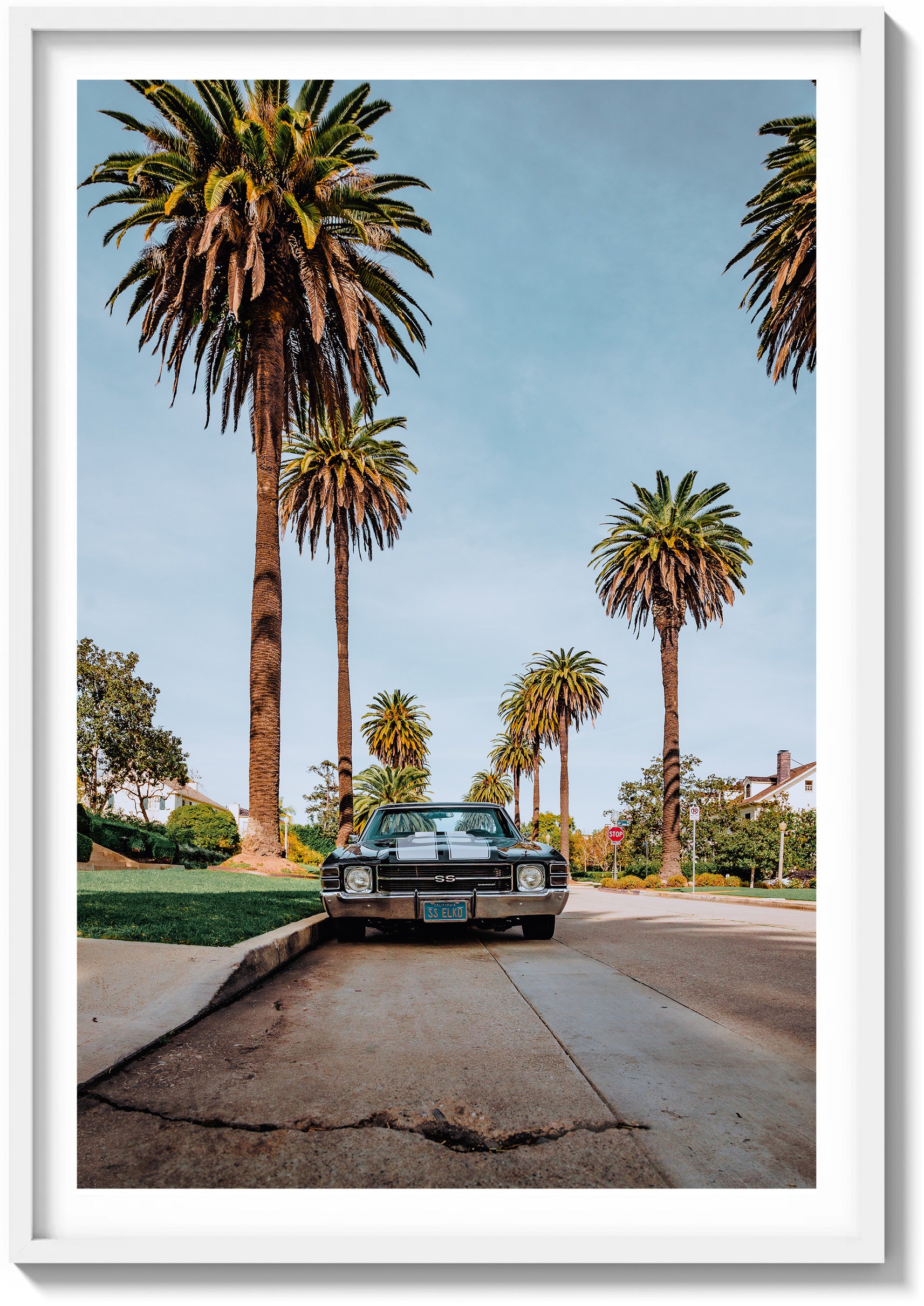El Camino