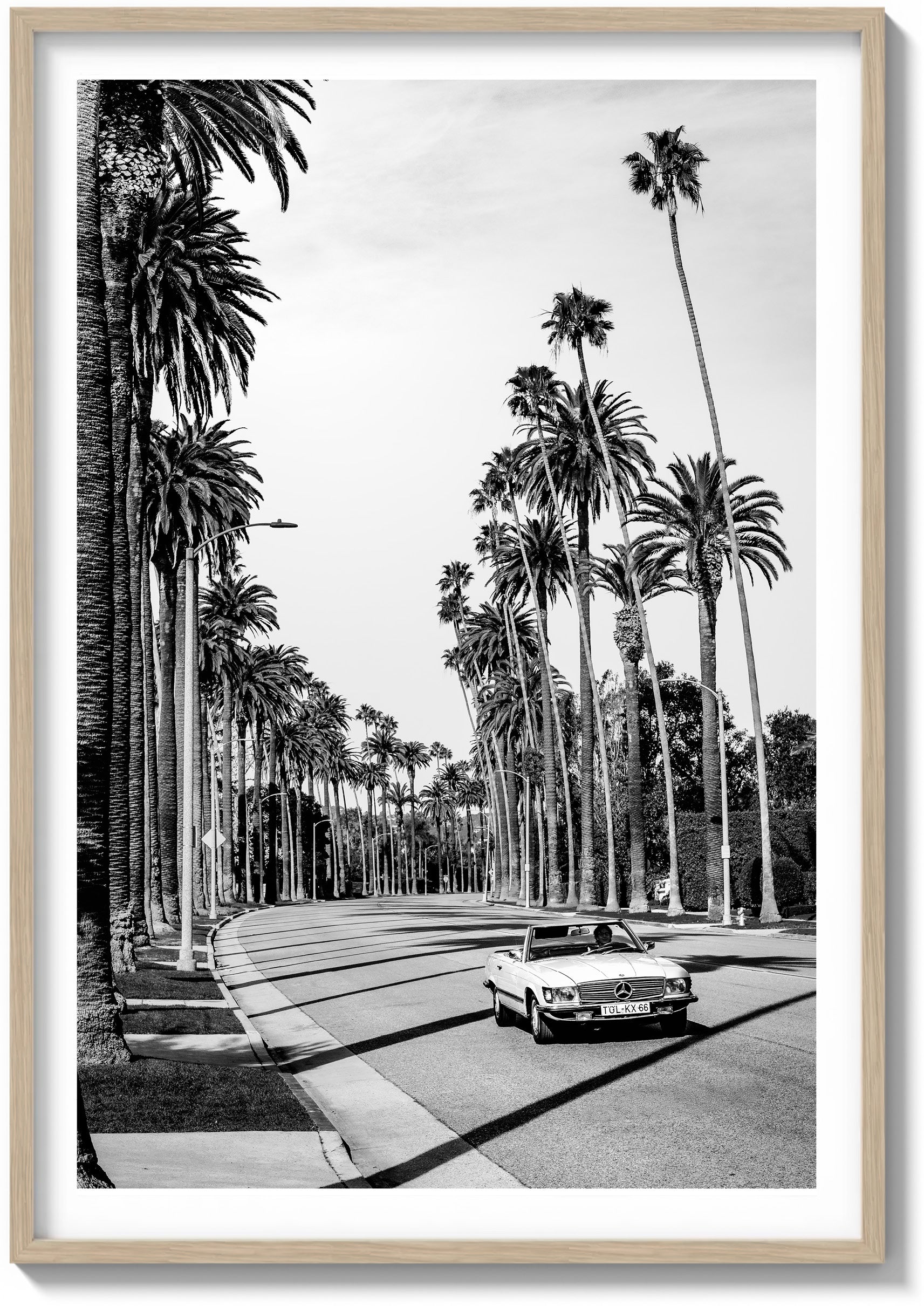 Beverly Thrills