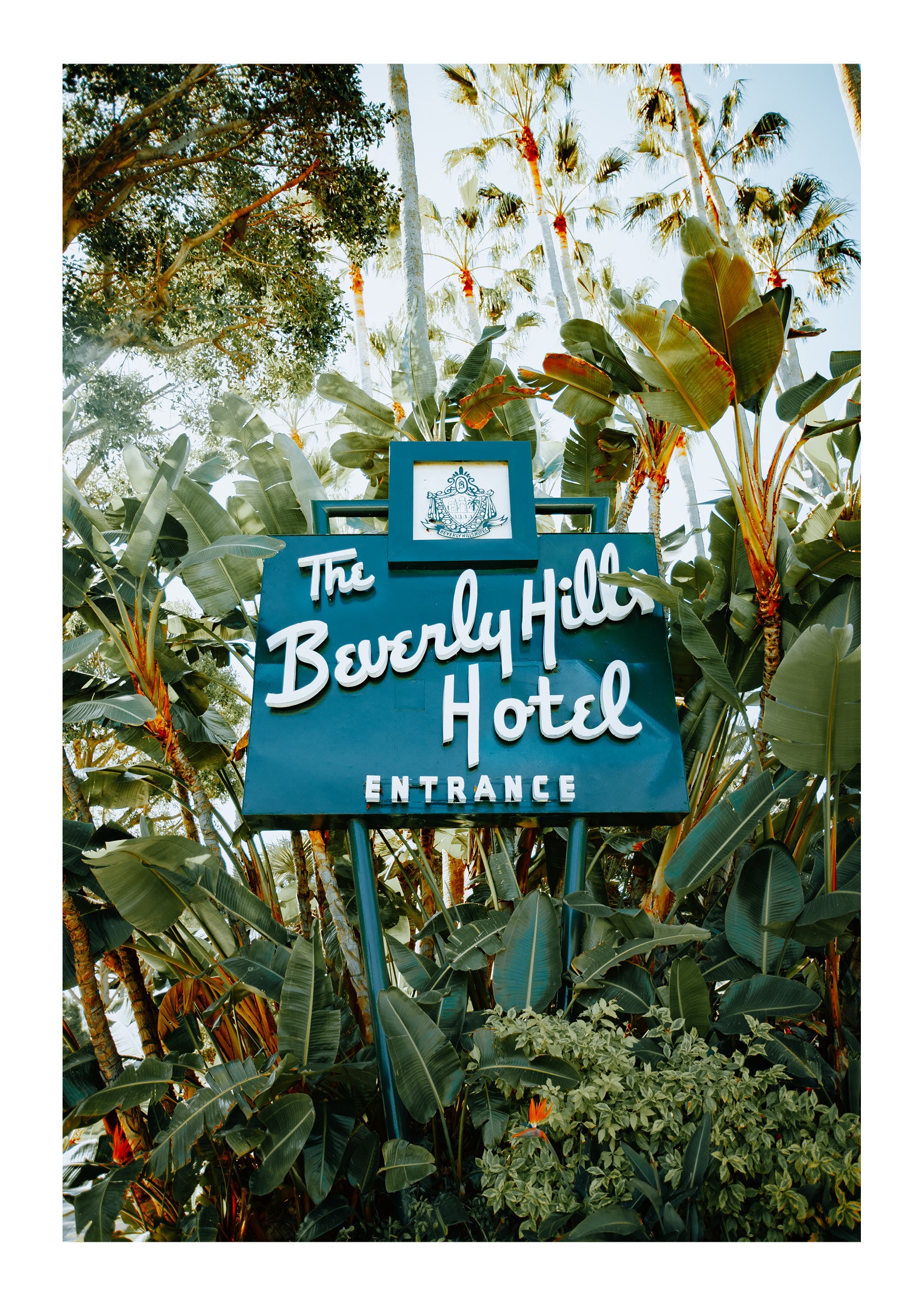 The Beverly Hills Hotel