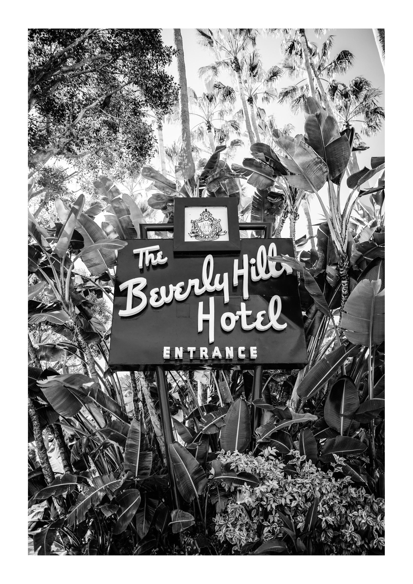 The Beverly Hills Hotel