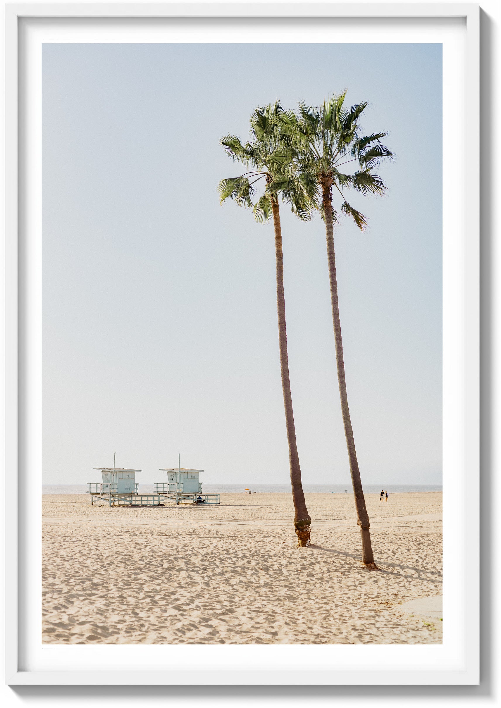 Lone Palms in Santa Monica