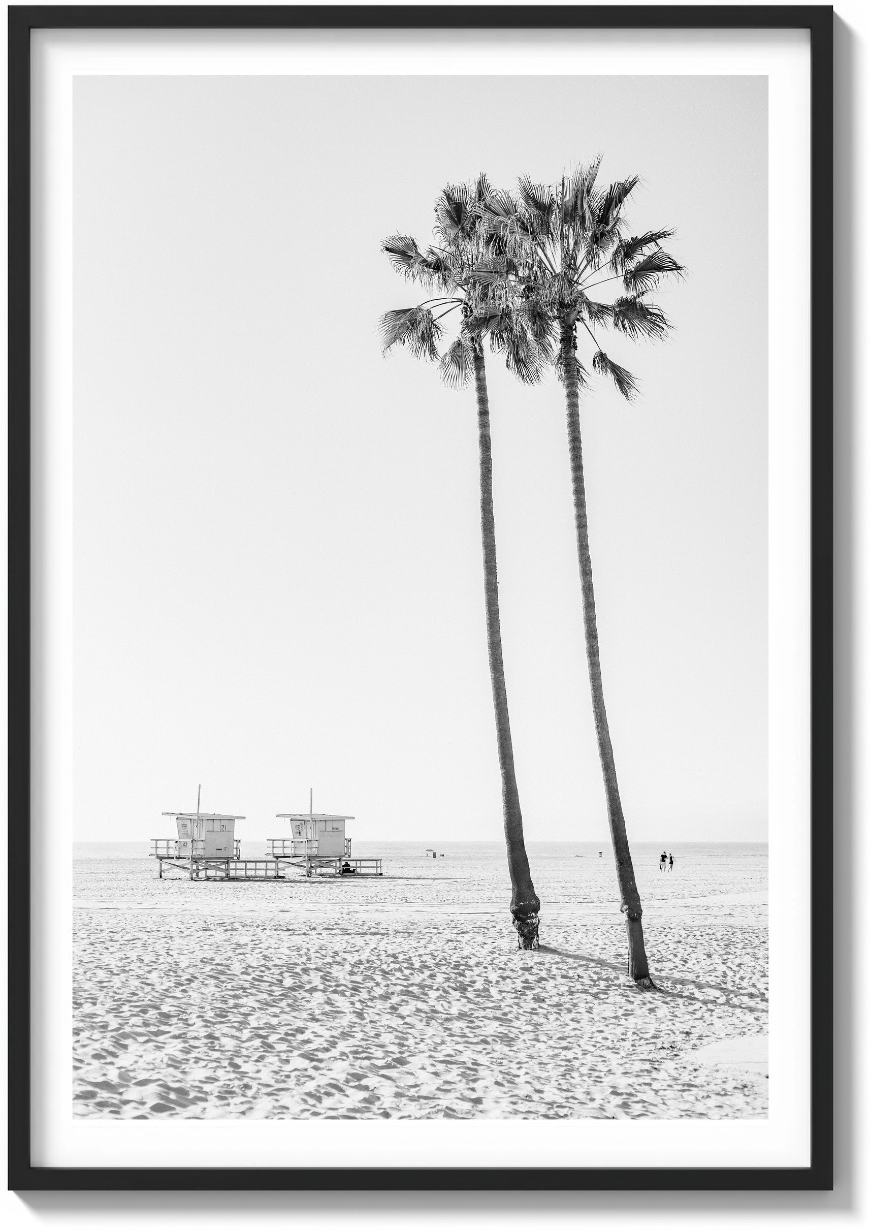 Lone Palms in Santa Monica