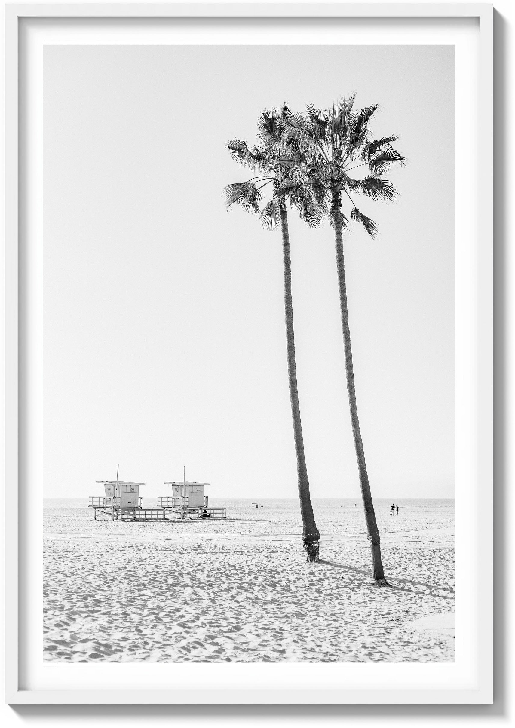 Lone Palms in Santa Monica