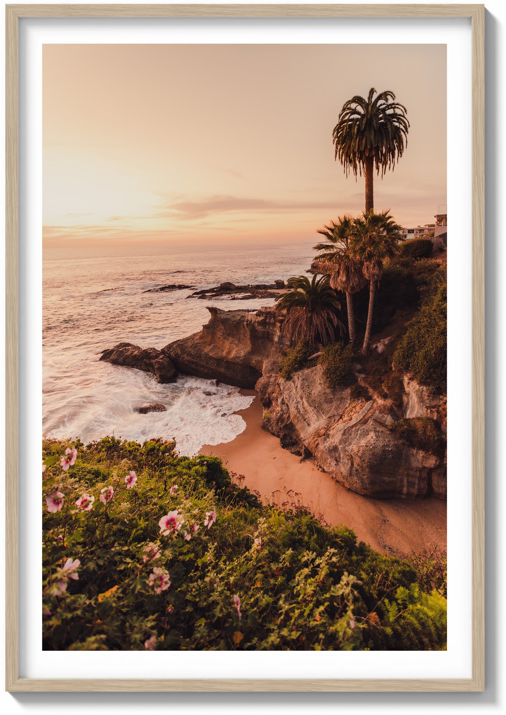 Lone Laguna Palm