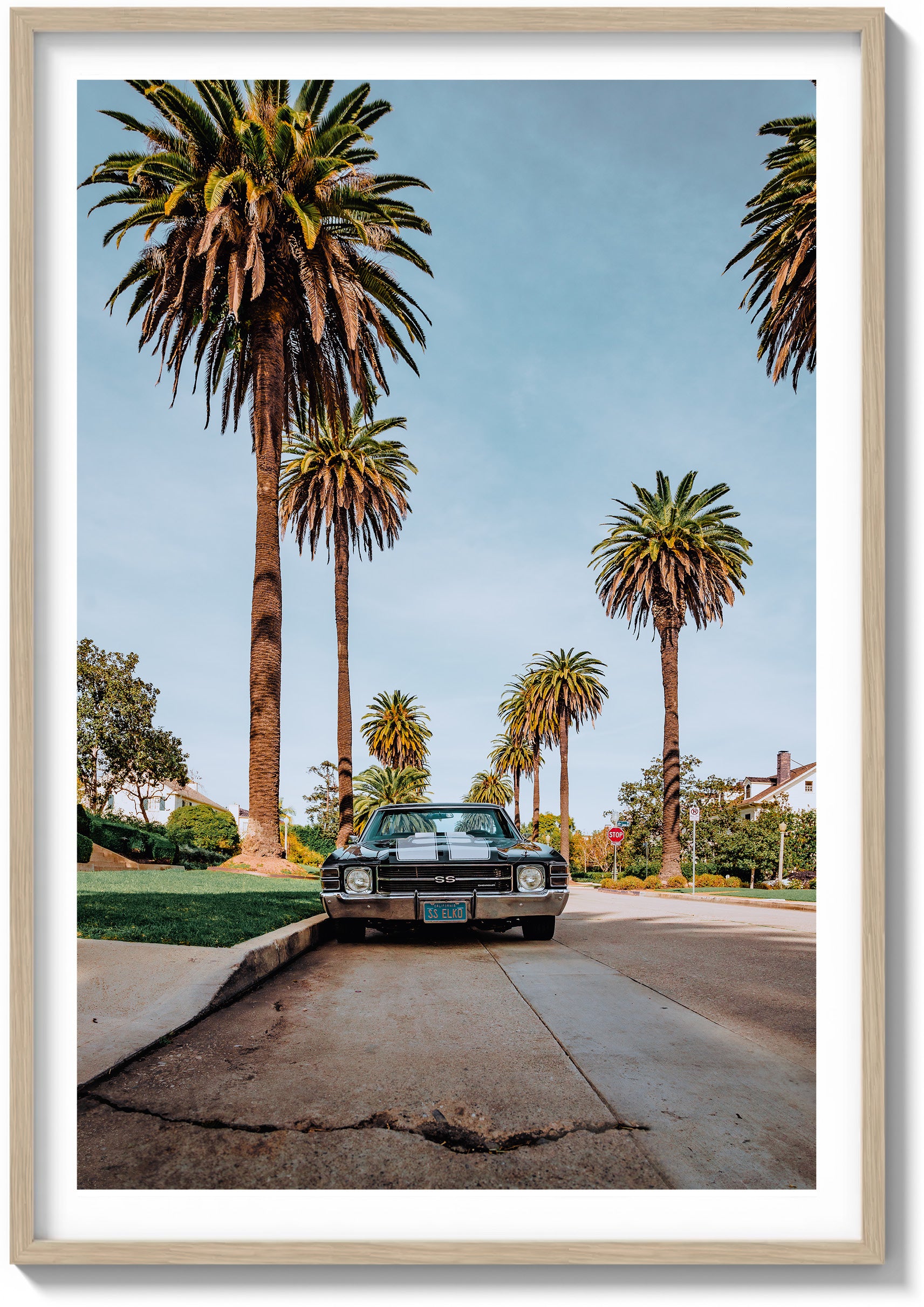 El Camino