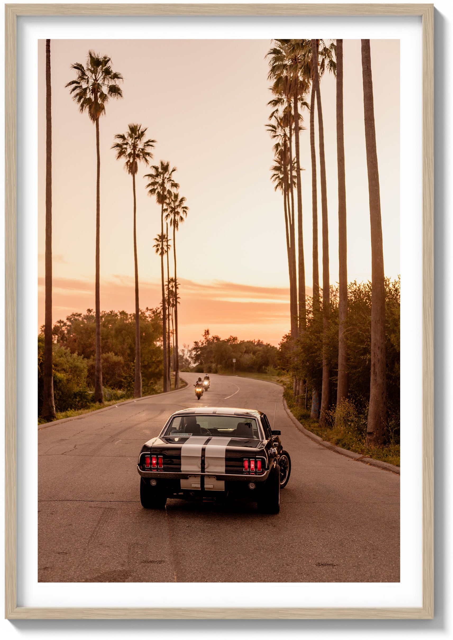 All-American Muscle