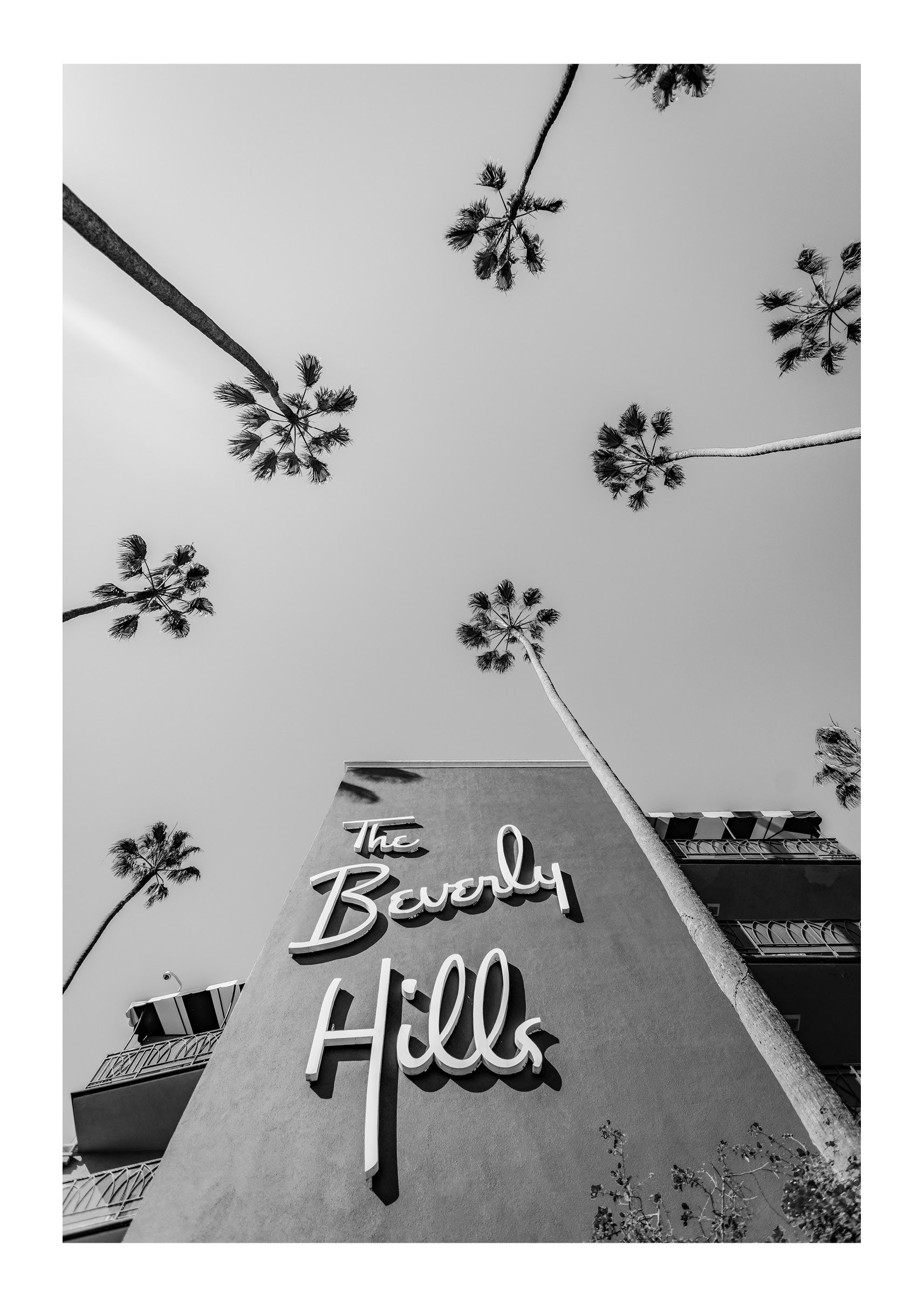 Welcome to Beverly Hills