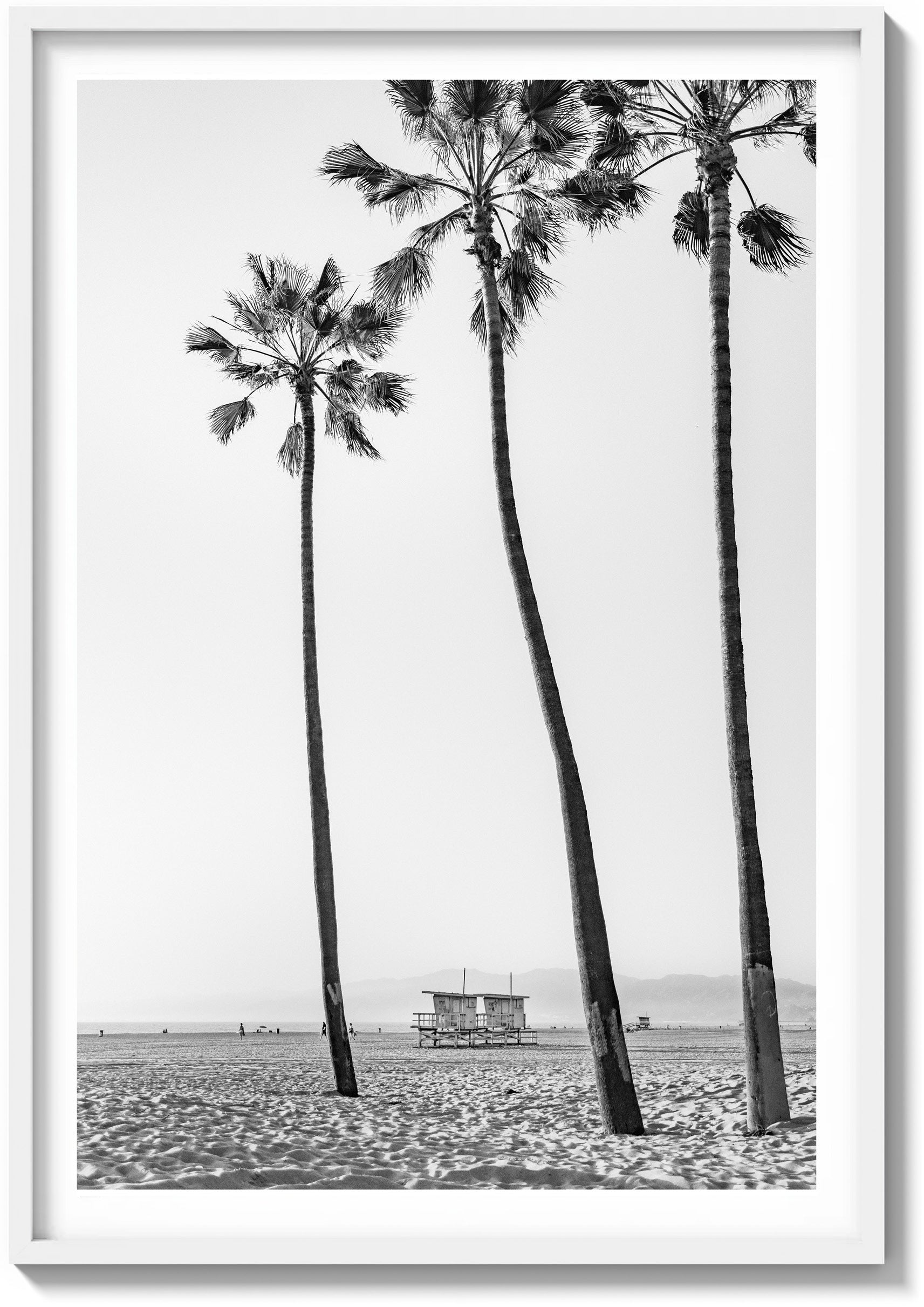 Santa Monica Serenity