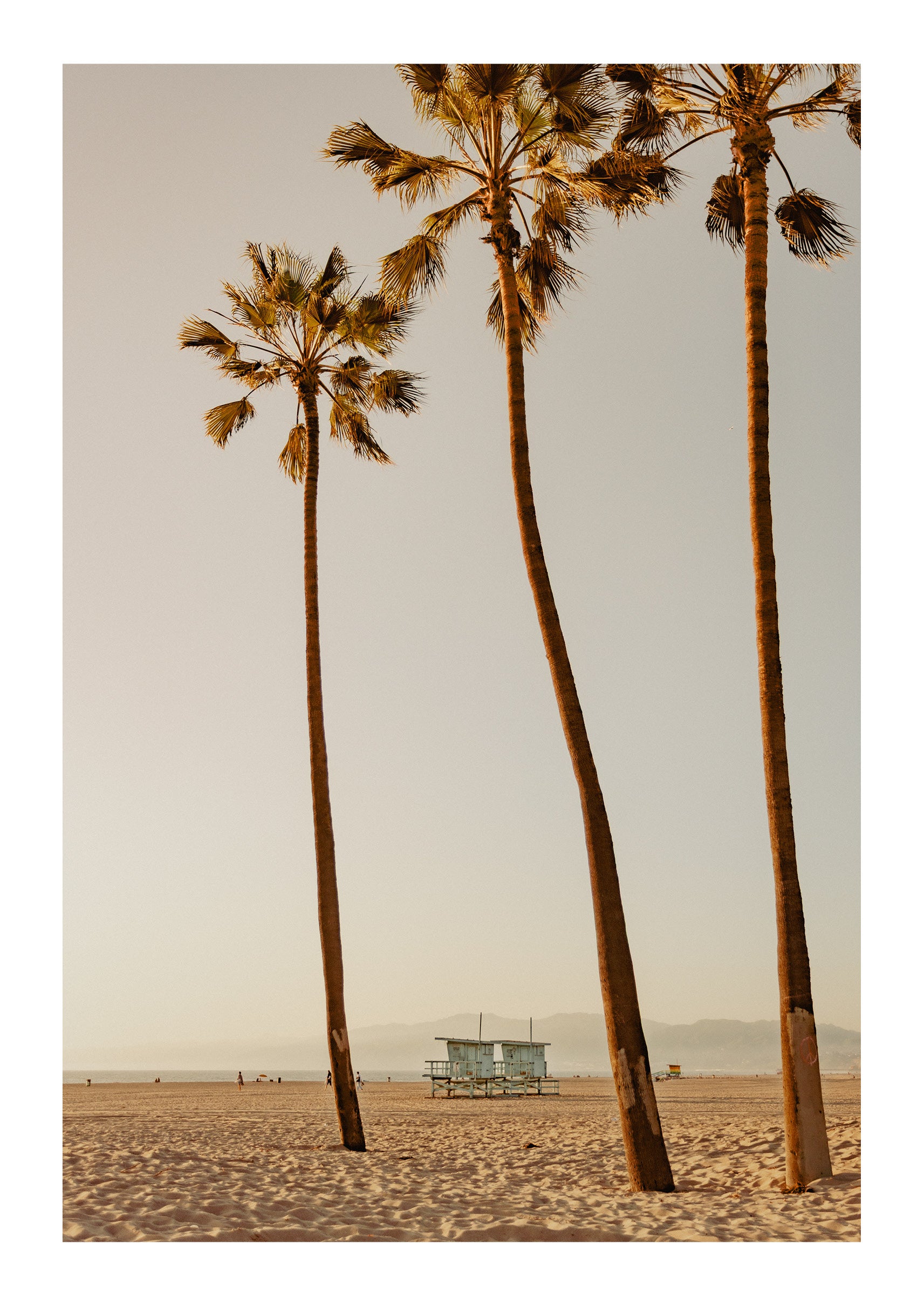 Santa Monica Serenity