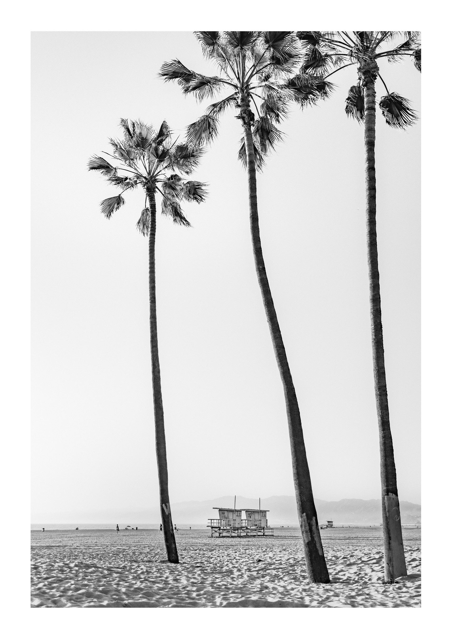 Santa Monica Serenity