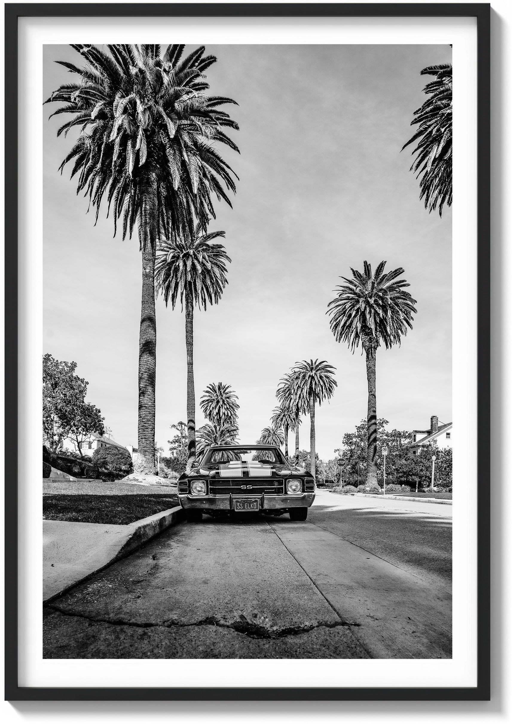 El Camino