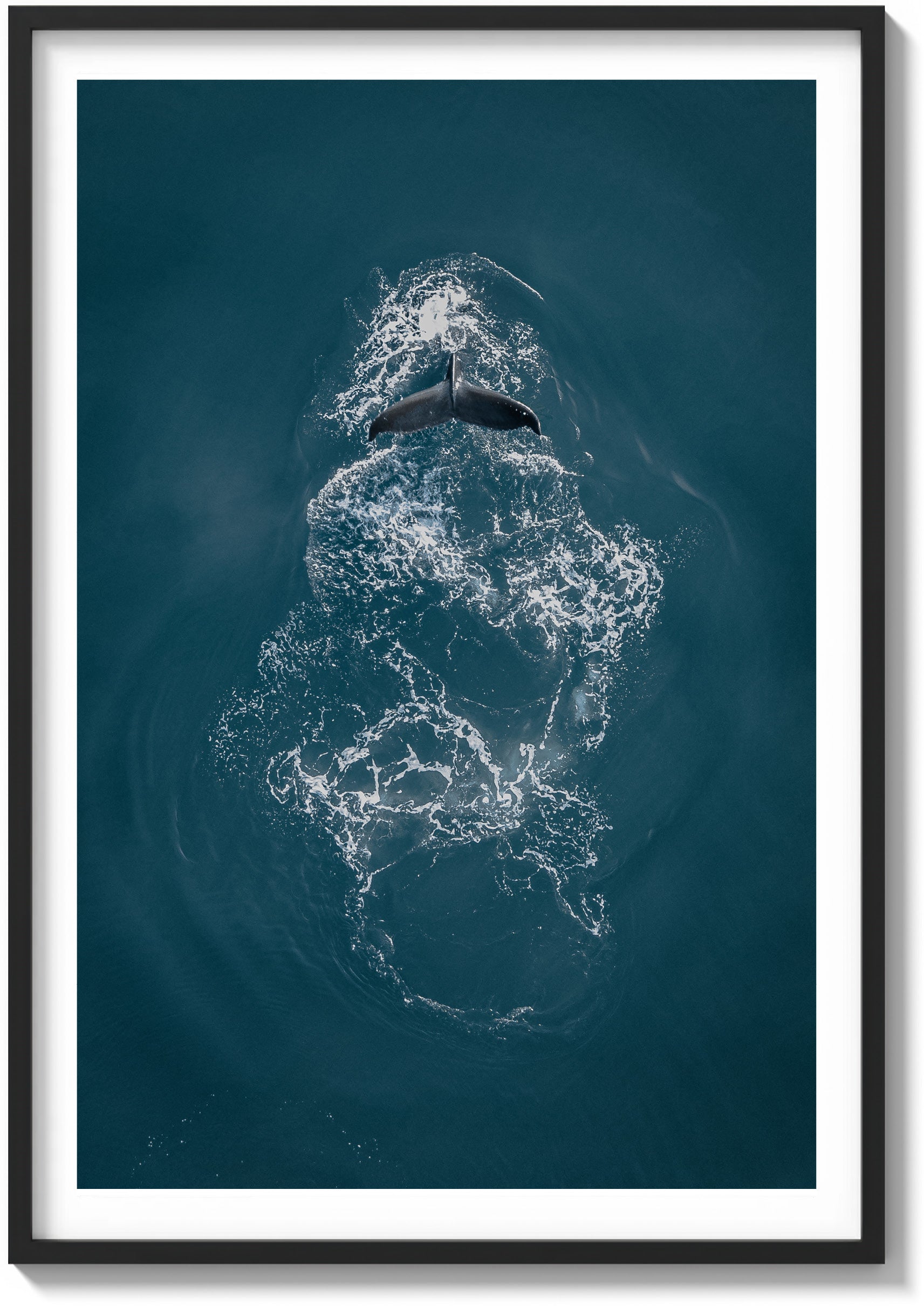 Ephemeral Encounters in the Pacific