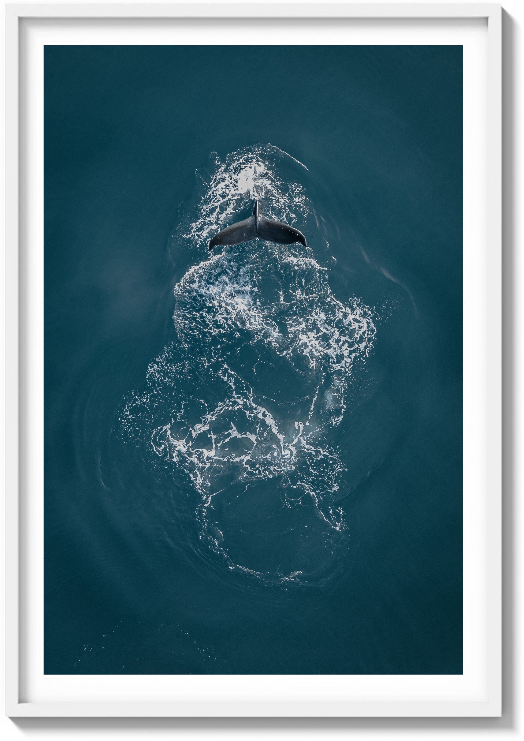 Ephemeral Encounters in the Pacific