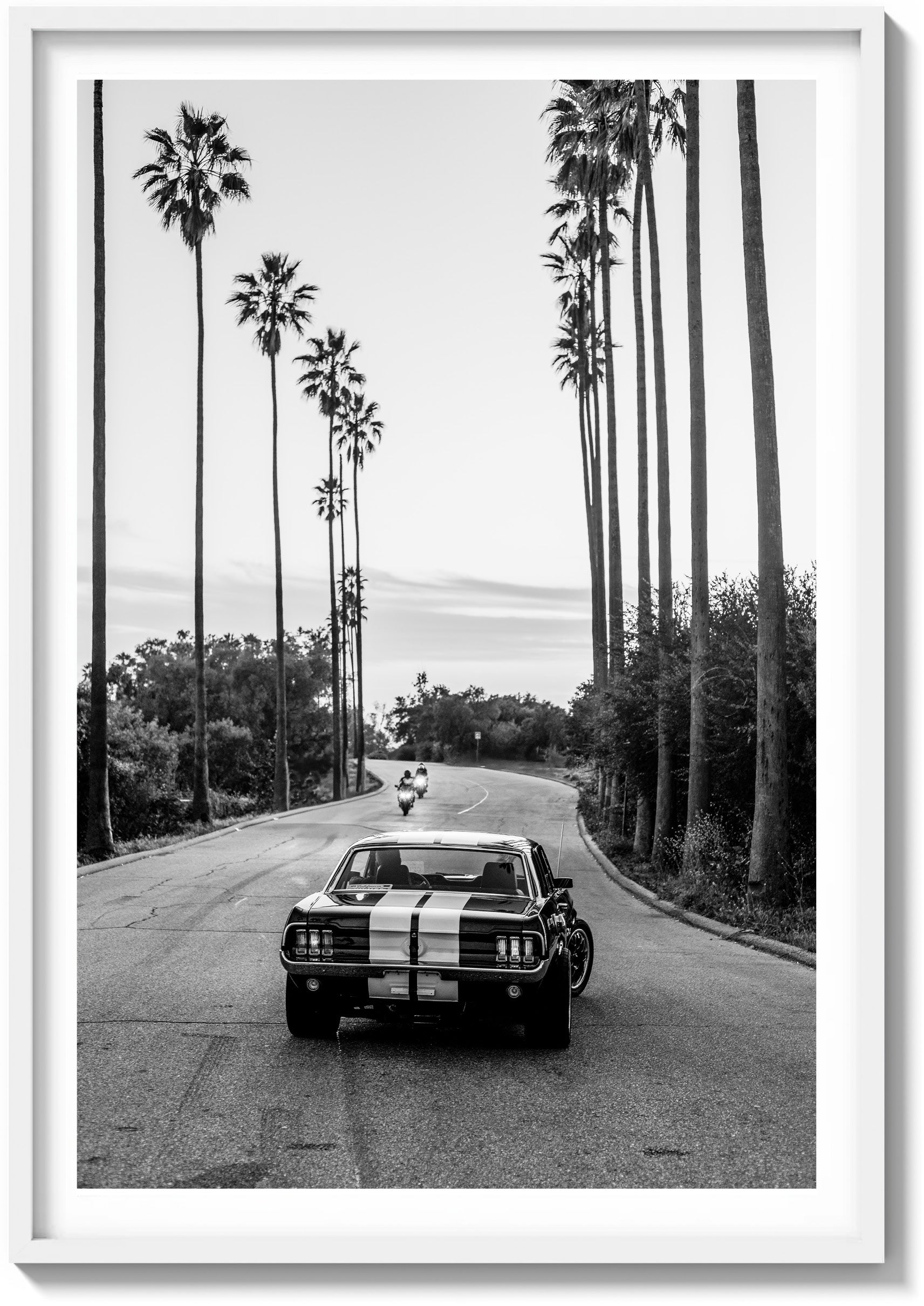 All-American Muscle