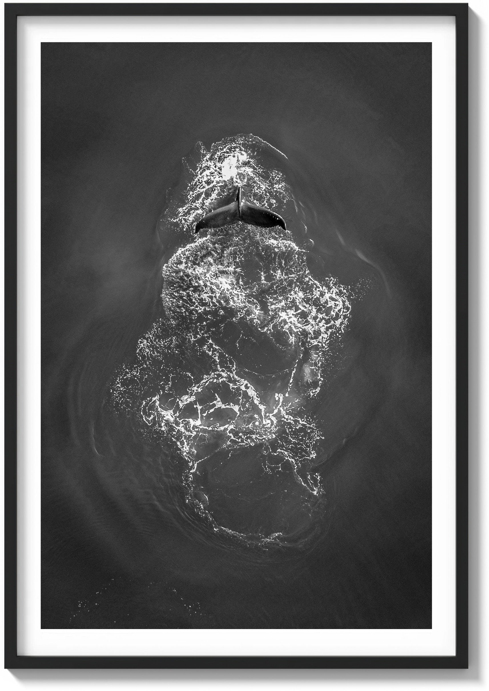 Ephemeral Encounters in the Pacific