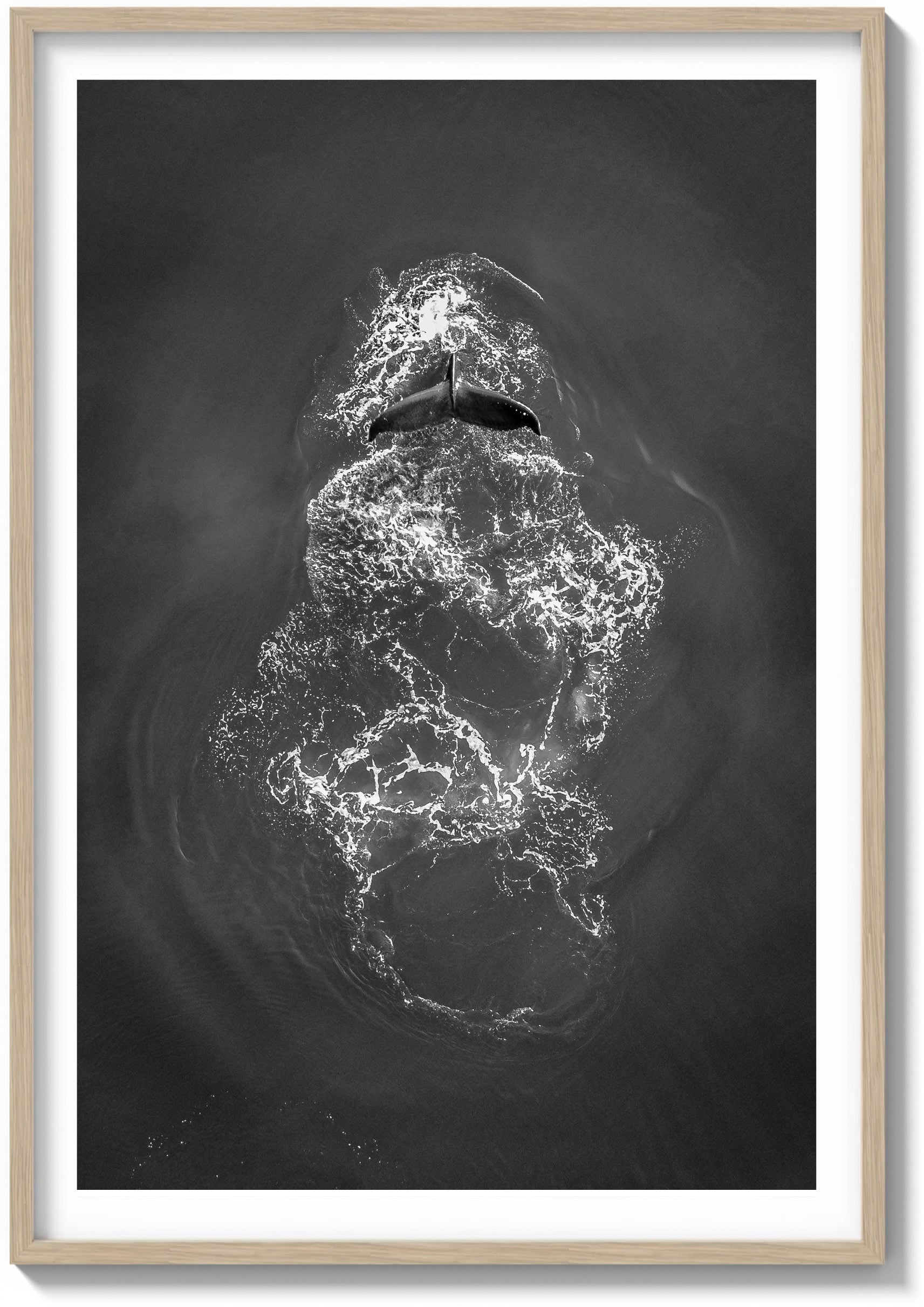 Ephemeral Encounters in the Pacific