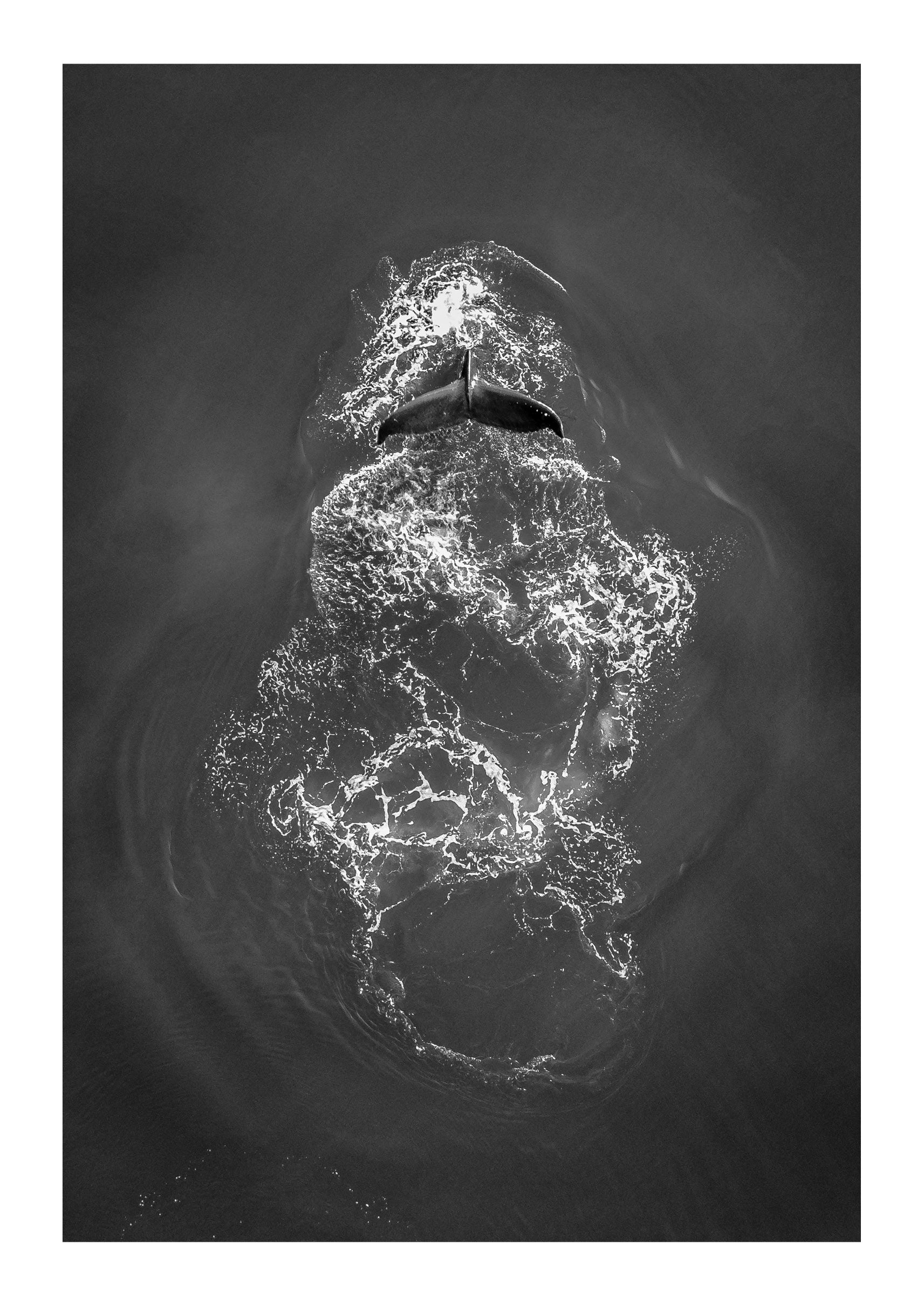 Ephemeral Encounters in the Pacific