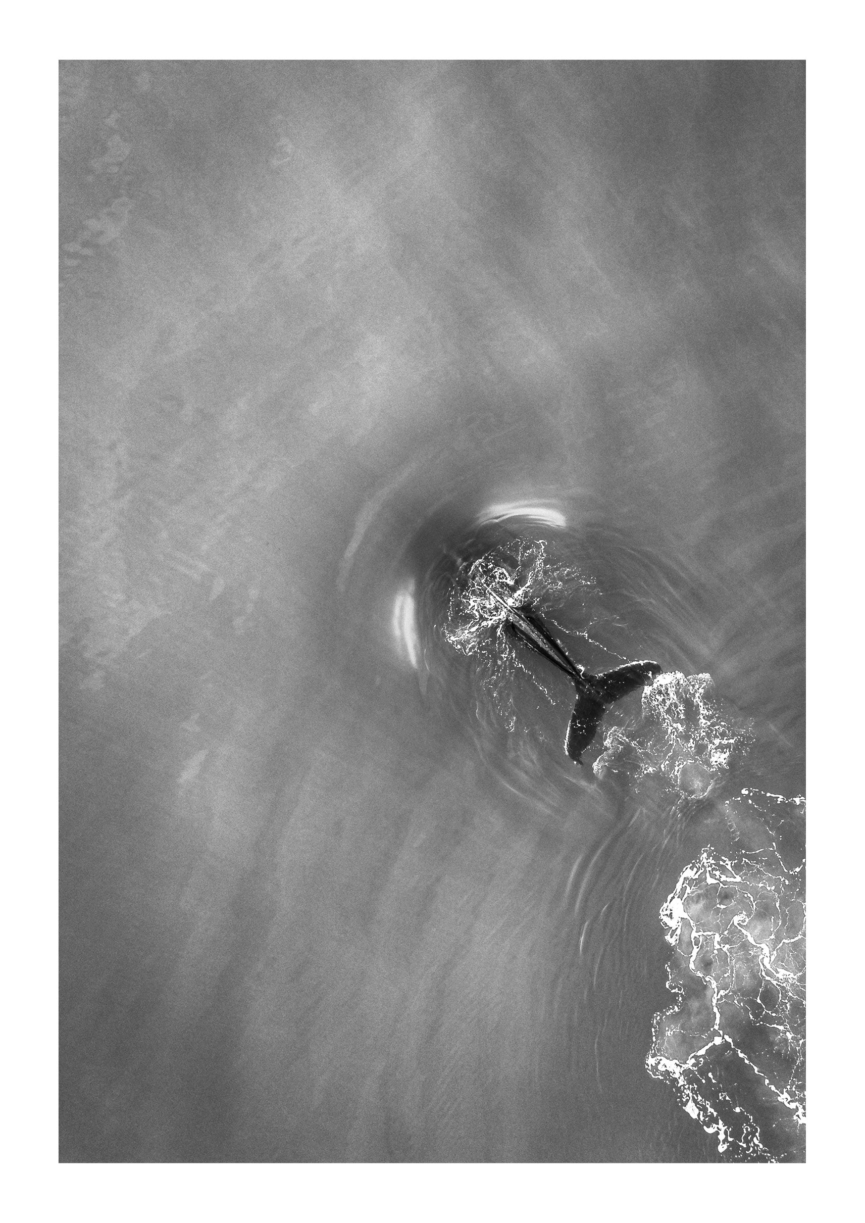 Migration