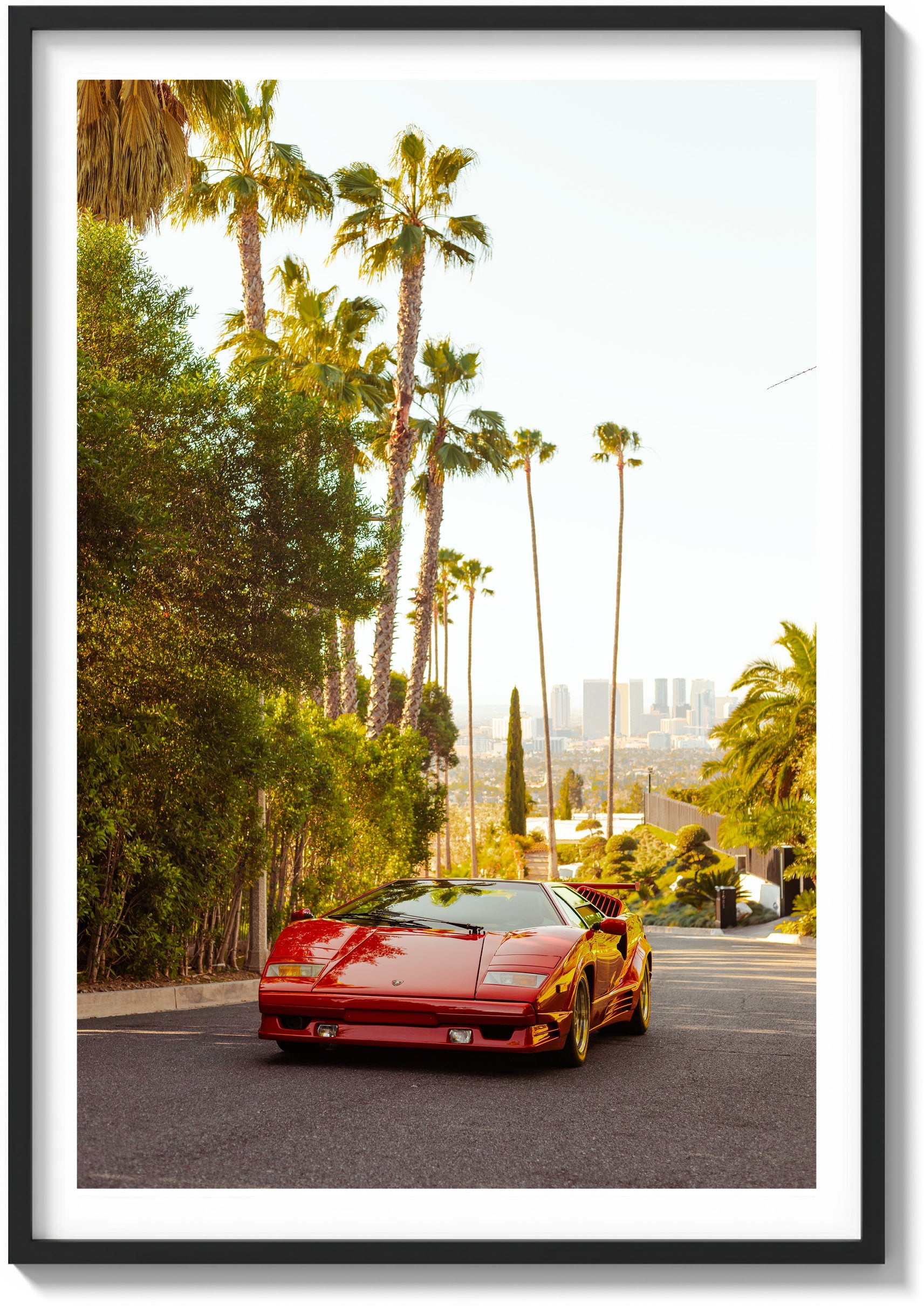 Hollywood Sun